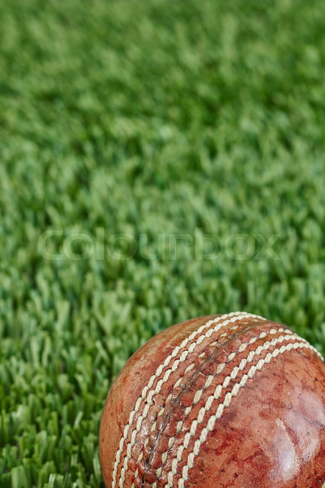 Cricket Equipment Stock image Colourbox