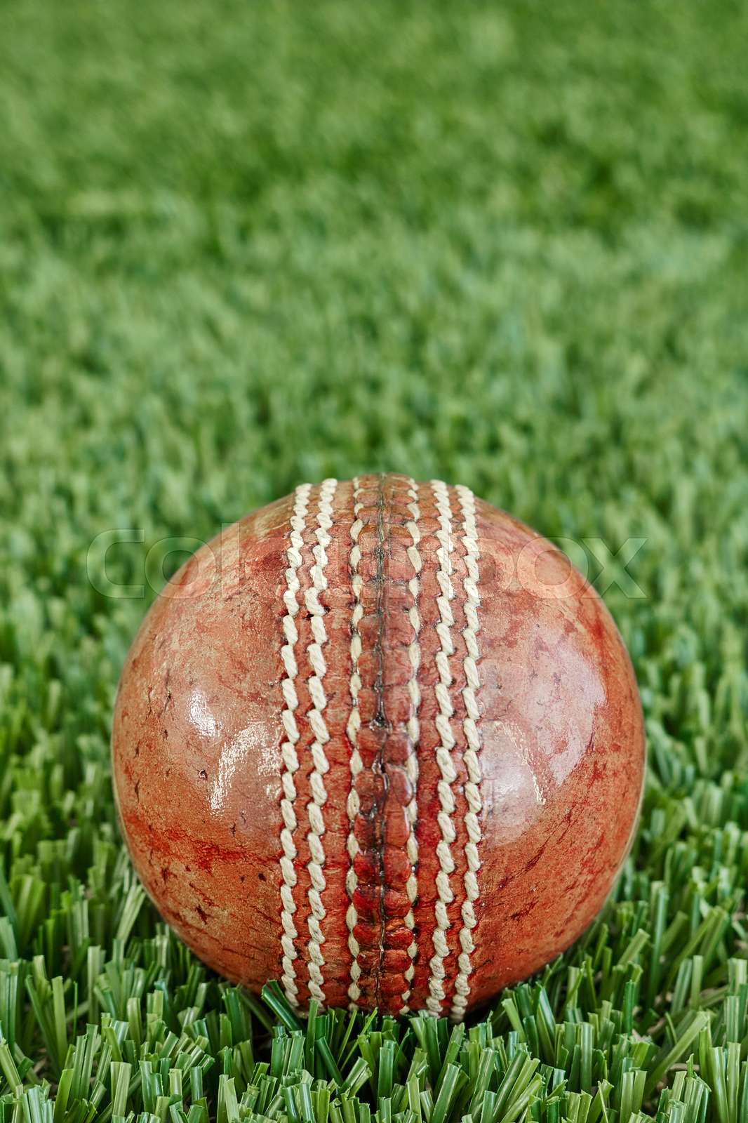 Cricket Equipment Stock image Colourbox