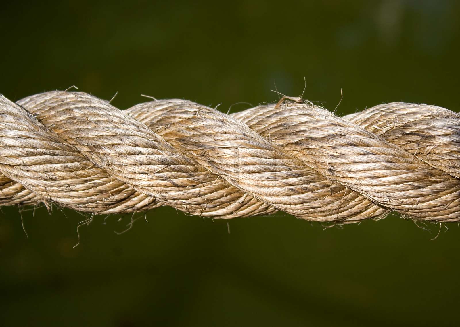 Closeup detail of a rope over a solid green background Stock image