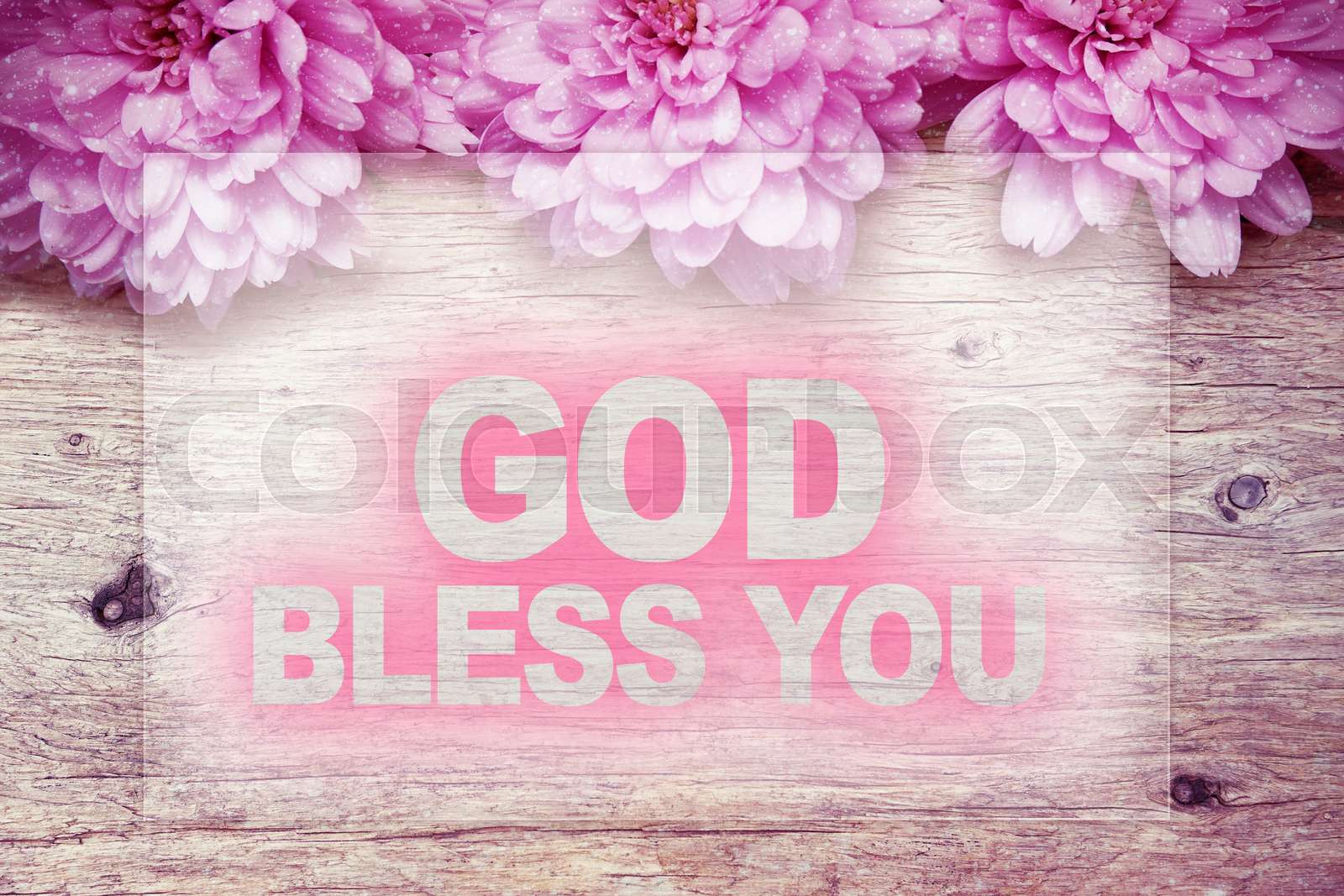 pink flowers on wooden with word GOD BLESS YOU