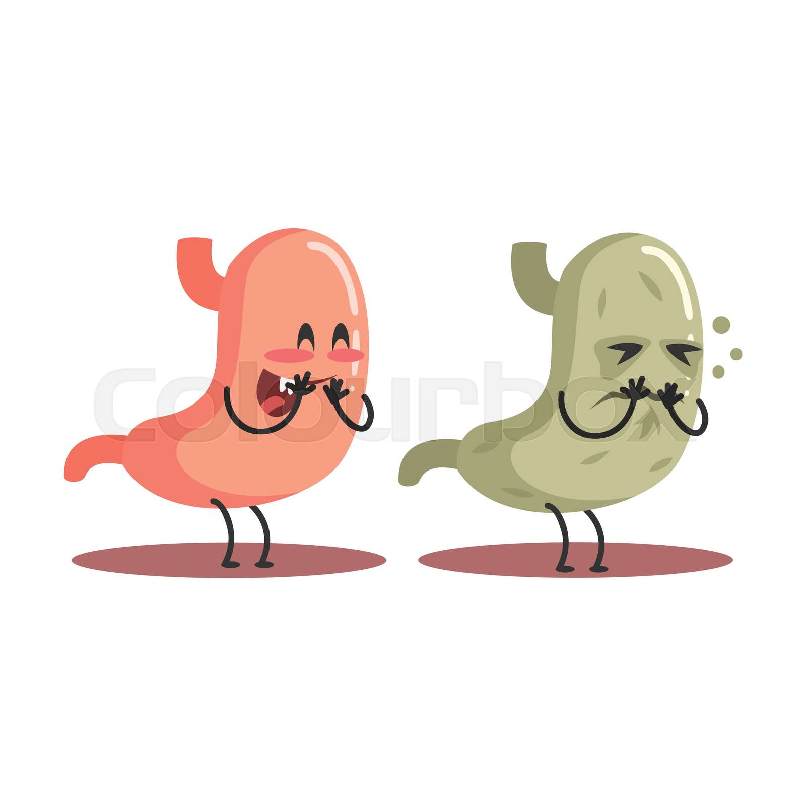 Stomach Human Internal Organ Healthy Vs Unhealthy Medical Anatomic Funny Cartoon Character Pair Stomach Human Internal Organ Healthy Vs Unhealthy Medical Anatomic Funny Cartoon Character Pair