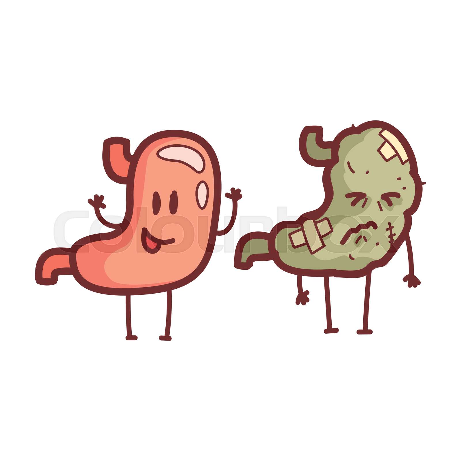Stomach Human Internal Organ Healthy Vs Unhealthy Medical Anatomic Funny Cartoon Character Pair Stomach Human Internal Organ Healthy Vs Unhealthy Medical Anatomic Funny Cartoon Character Pair