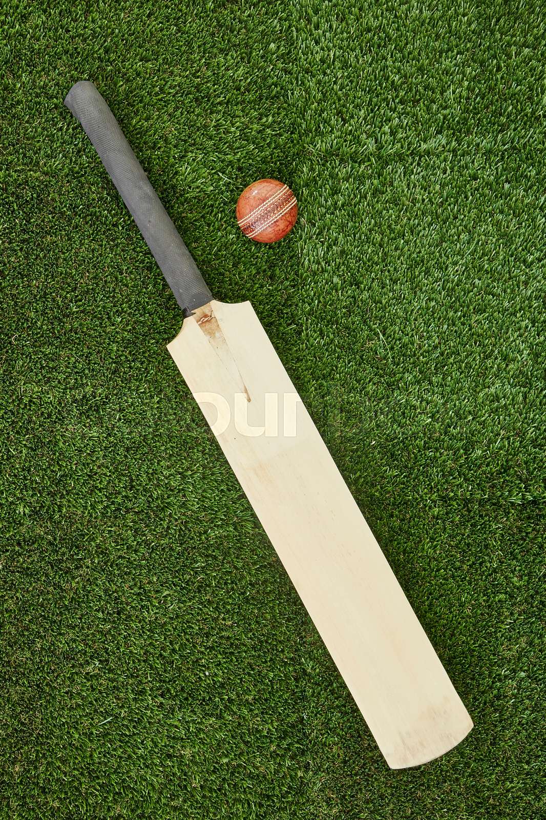 Cricket Equipment Stock image Colourbox