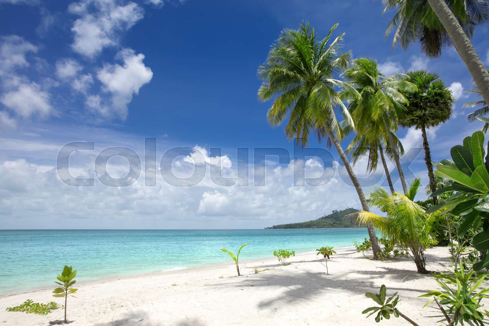 tropic beach Stock image Colourbox