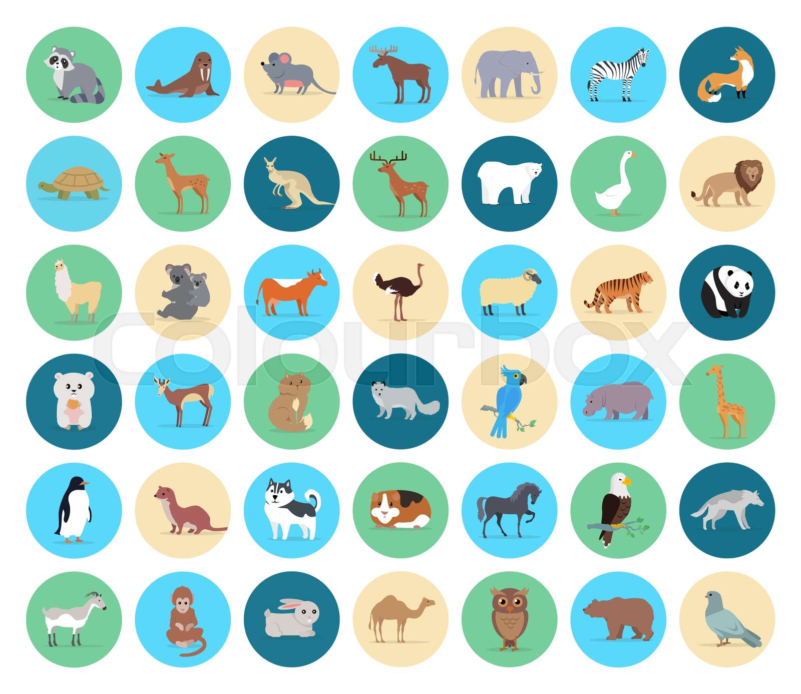 Domestic and Wild Animal in Circles Collection Stock vector Colourbox