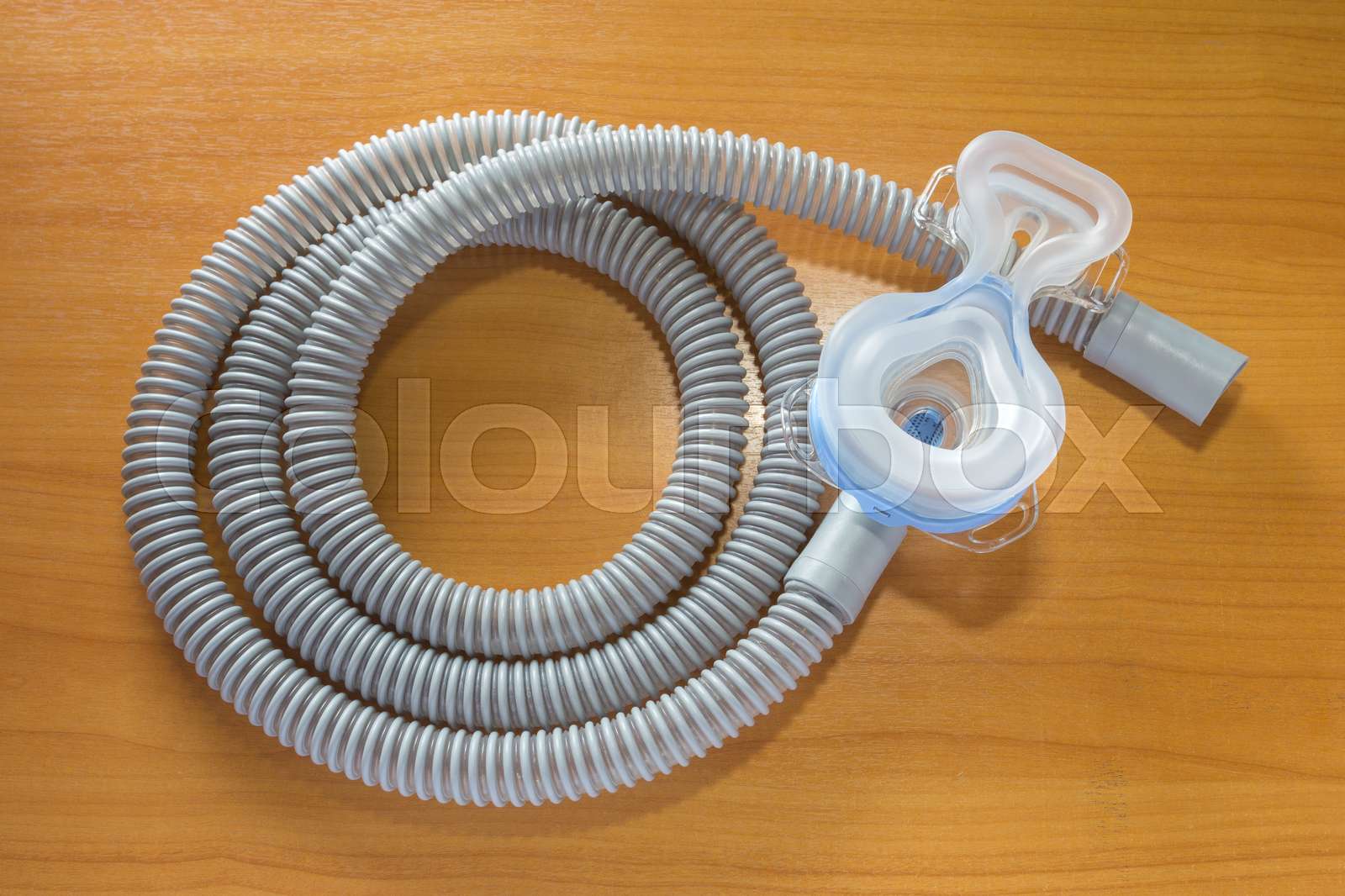 Your Cpap Hose The Hidden Culprit Of Your Allergies How To Clean It - zx1psyh