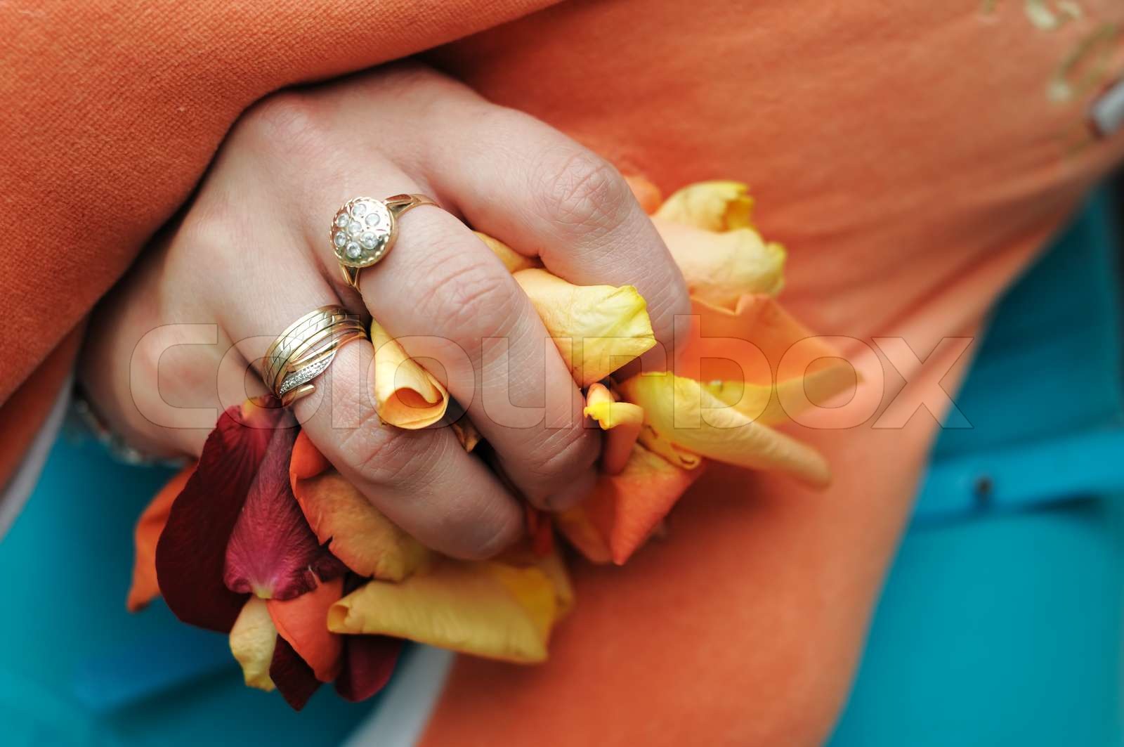 Hände einer Frau voller Rosenblätter bereit zu werfen Stock Bild Colourbox
