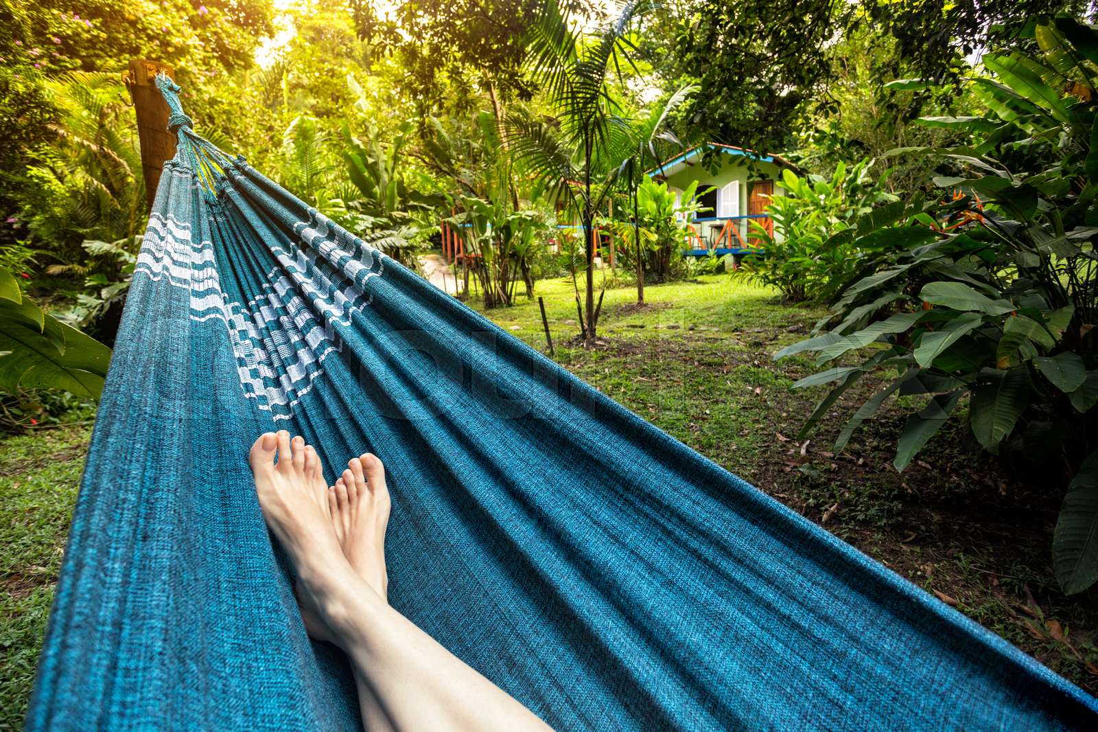 hammock Stock image Colourbox