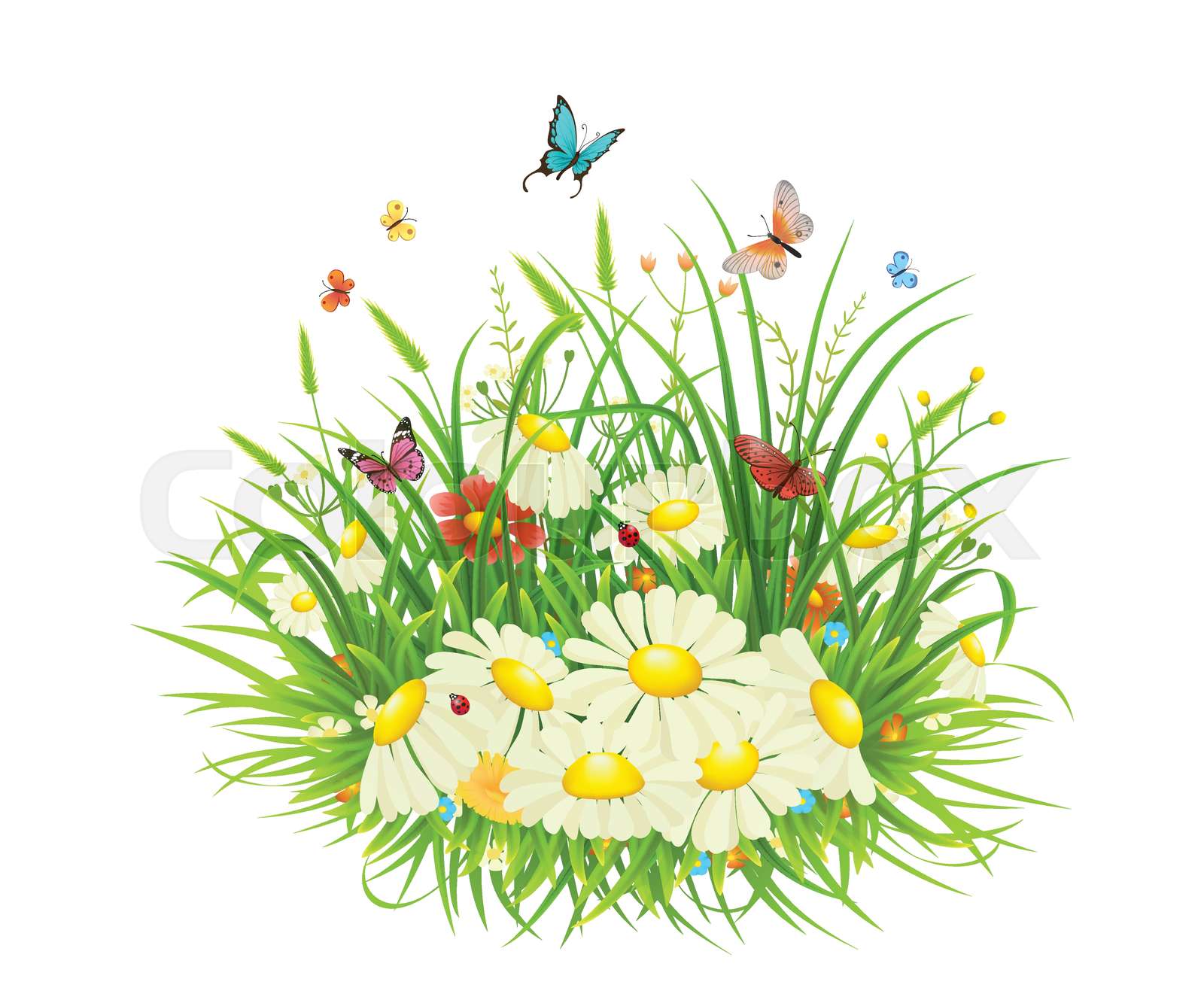 Green grass and flowers | Stock vector | Colourbox