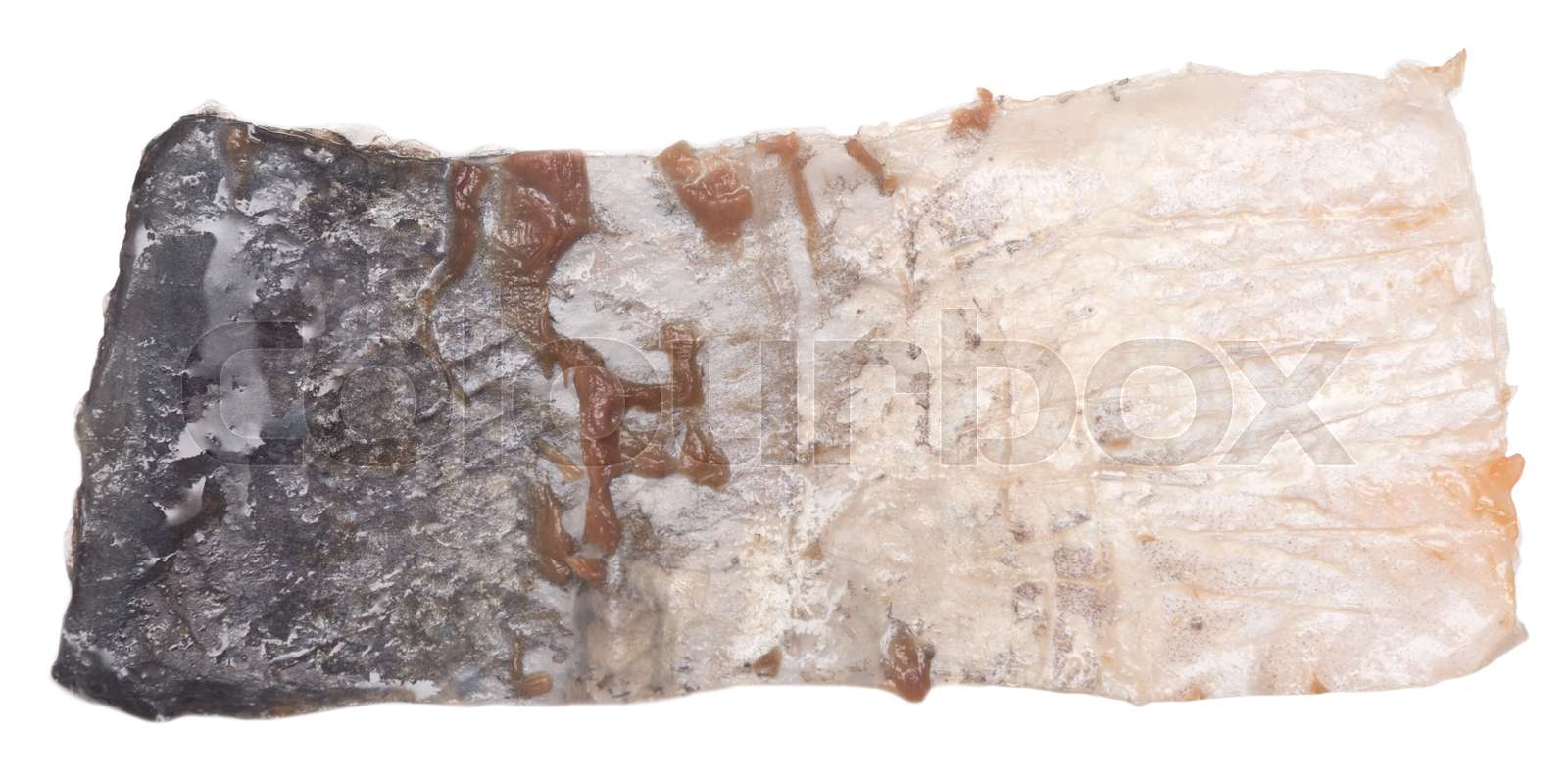 fish skin isolated | Stock image | Colourbox