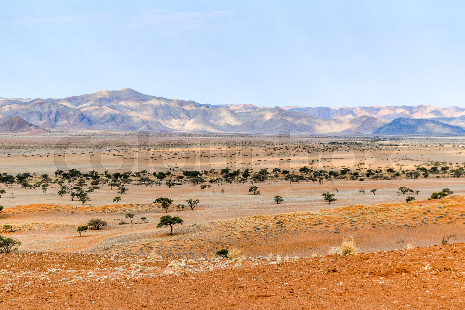 landscape in Namibia | Stock image | Colourbox