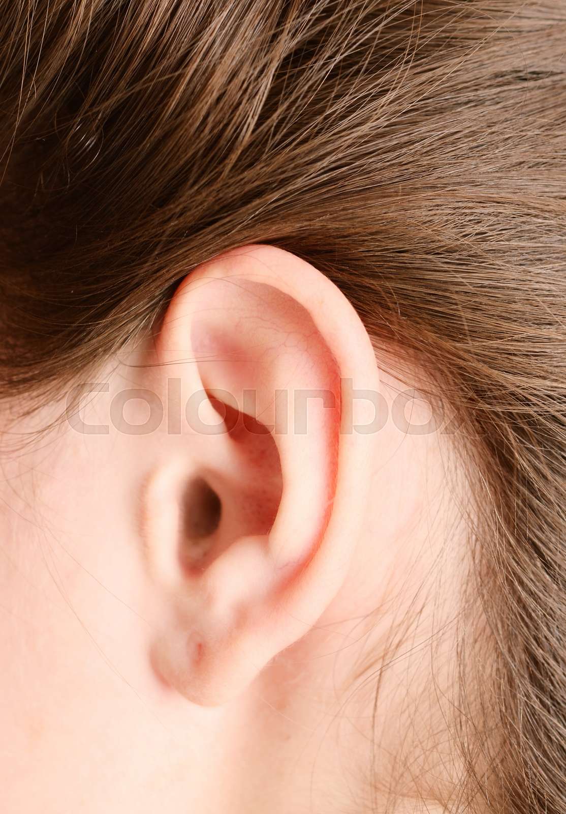 woman ear | Stock image | Colourbox