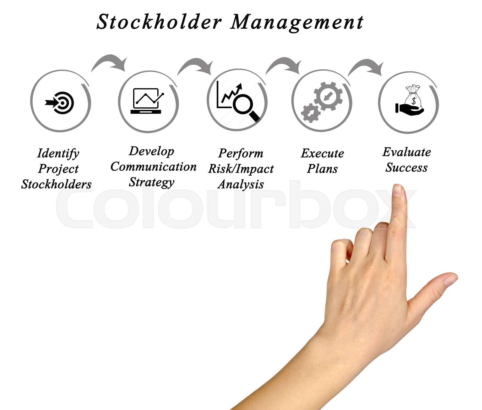 Stockholder Management | Stock image | Colourbox