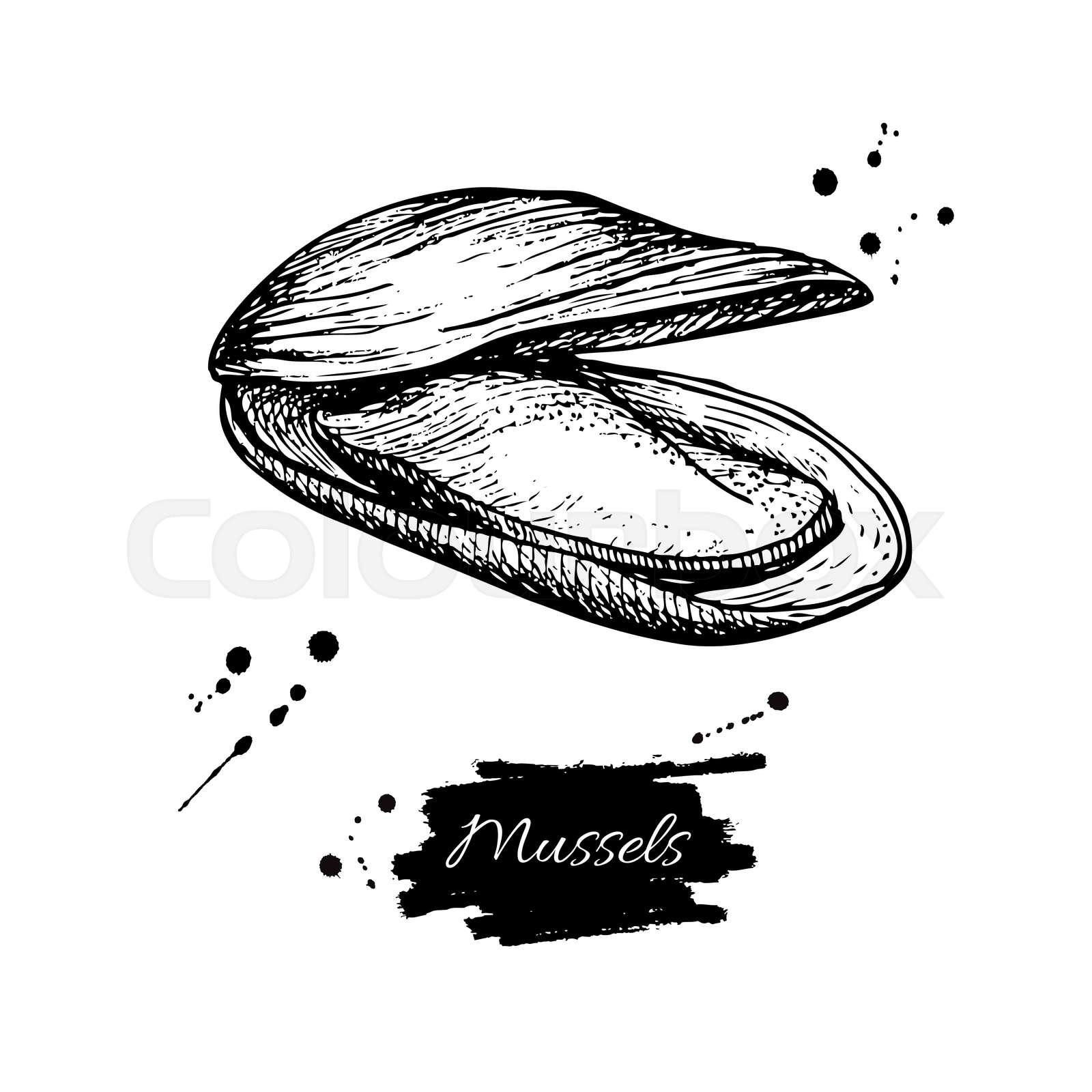 meeresfrüchte, köstlich, abendessen | Stock-Vektor | Colourbox