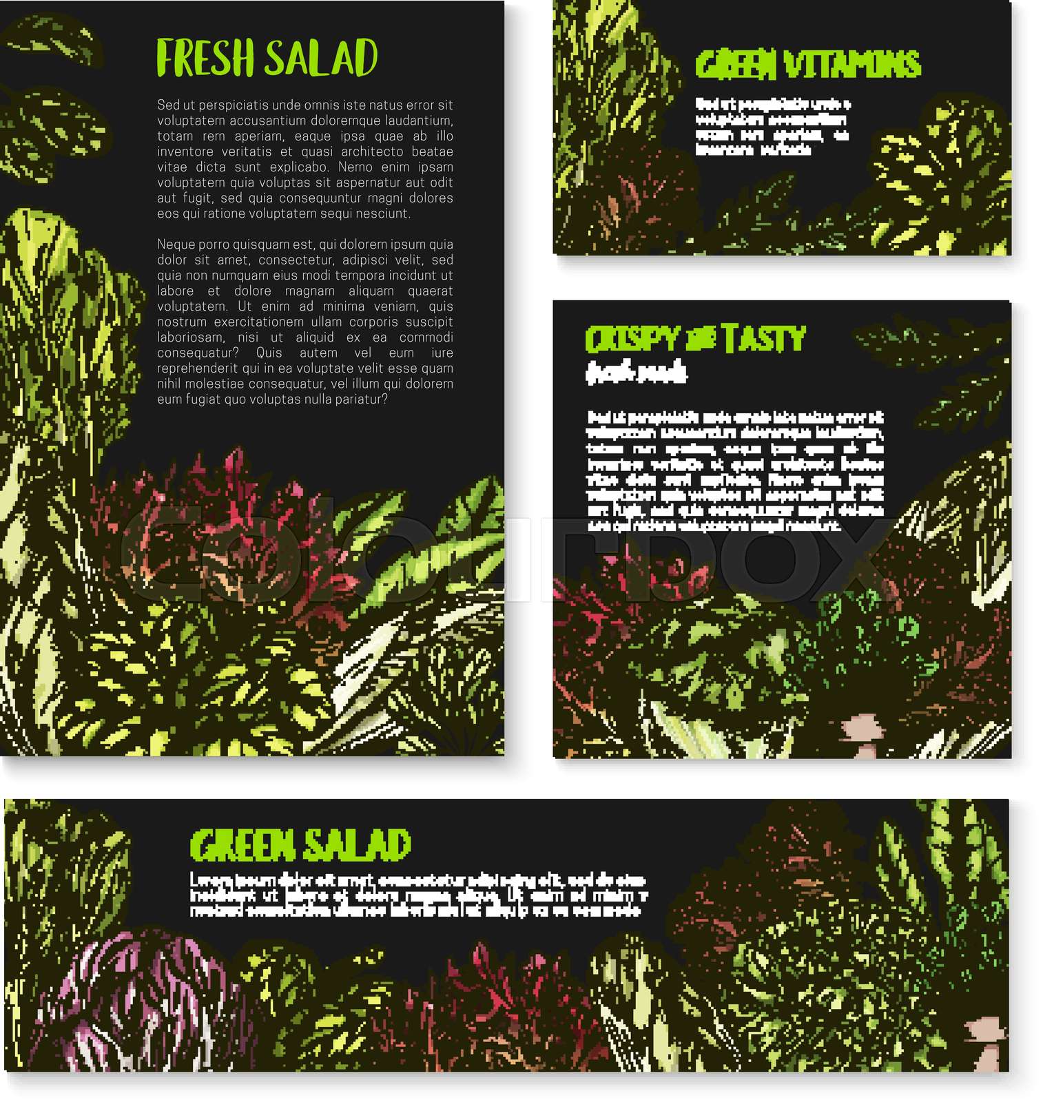 Salads and leafy lettuce vector templates posters | Stock vector ...