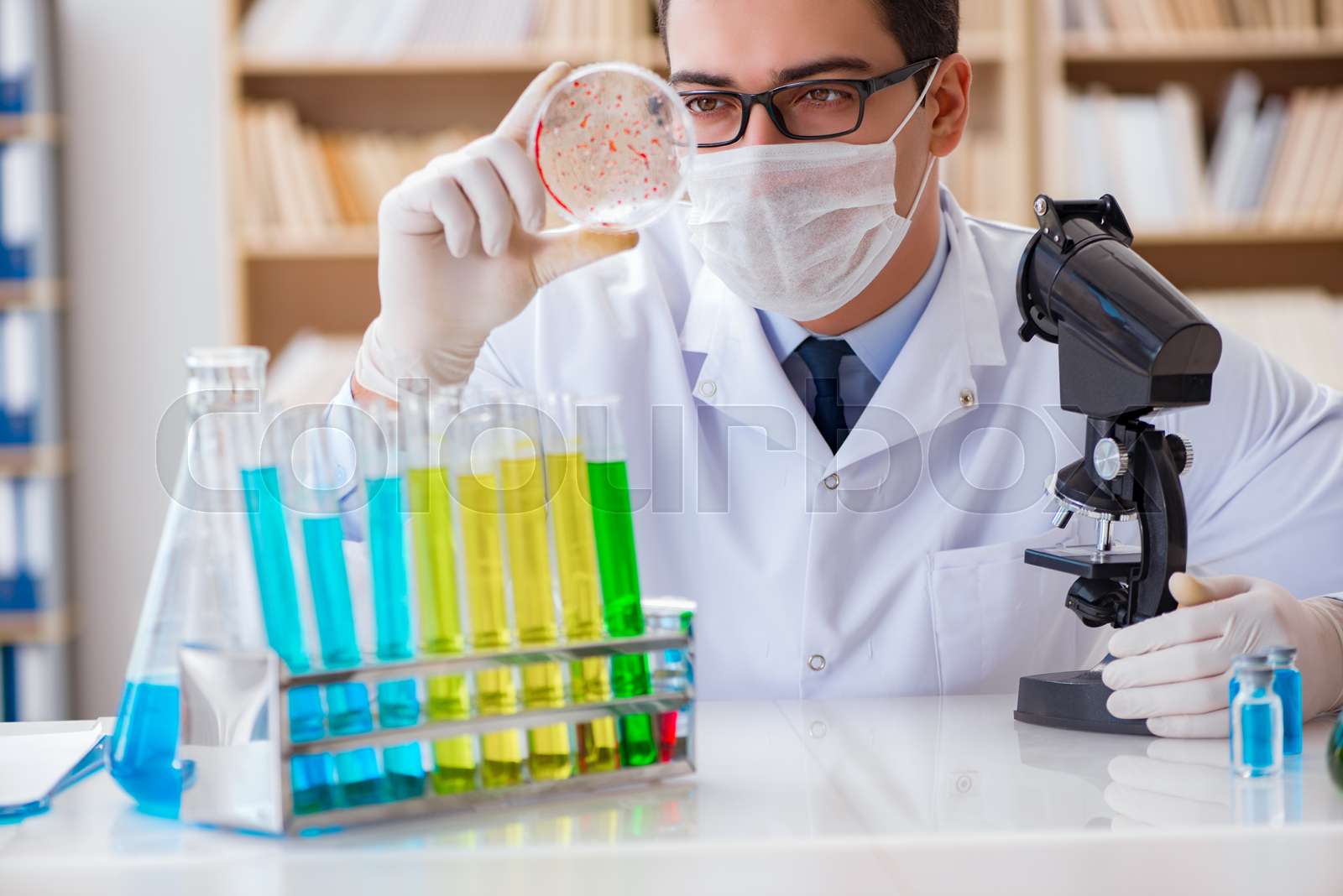 Doctor studying virus bacteria in the lab Stock image Colourbox