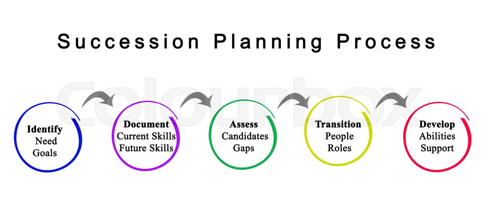 Succession Planning Process | Stock image | Colourbox