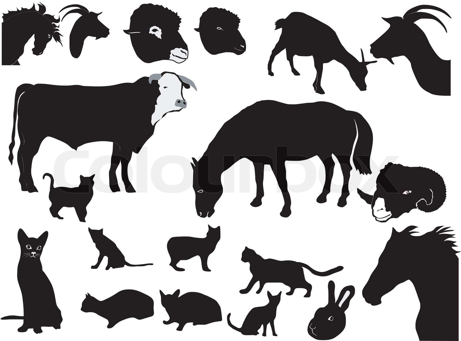 set of domestic animals | Stock vector | Colourbox