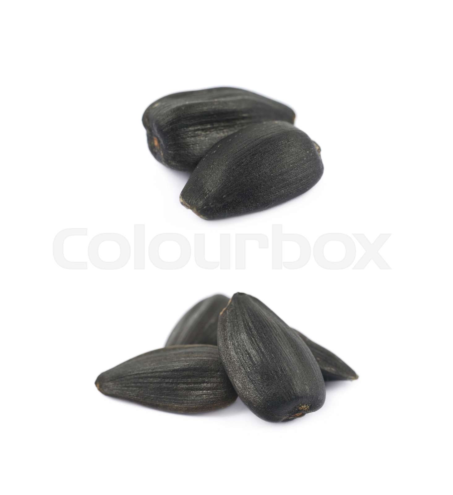 Pile of sunflowers seeds isolated Stock image Colourbox