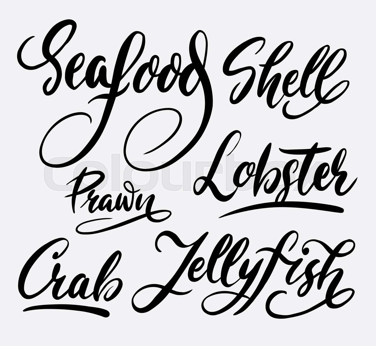 Seafood and lobster hand written typography. Stock vector Colourbox