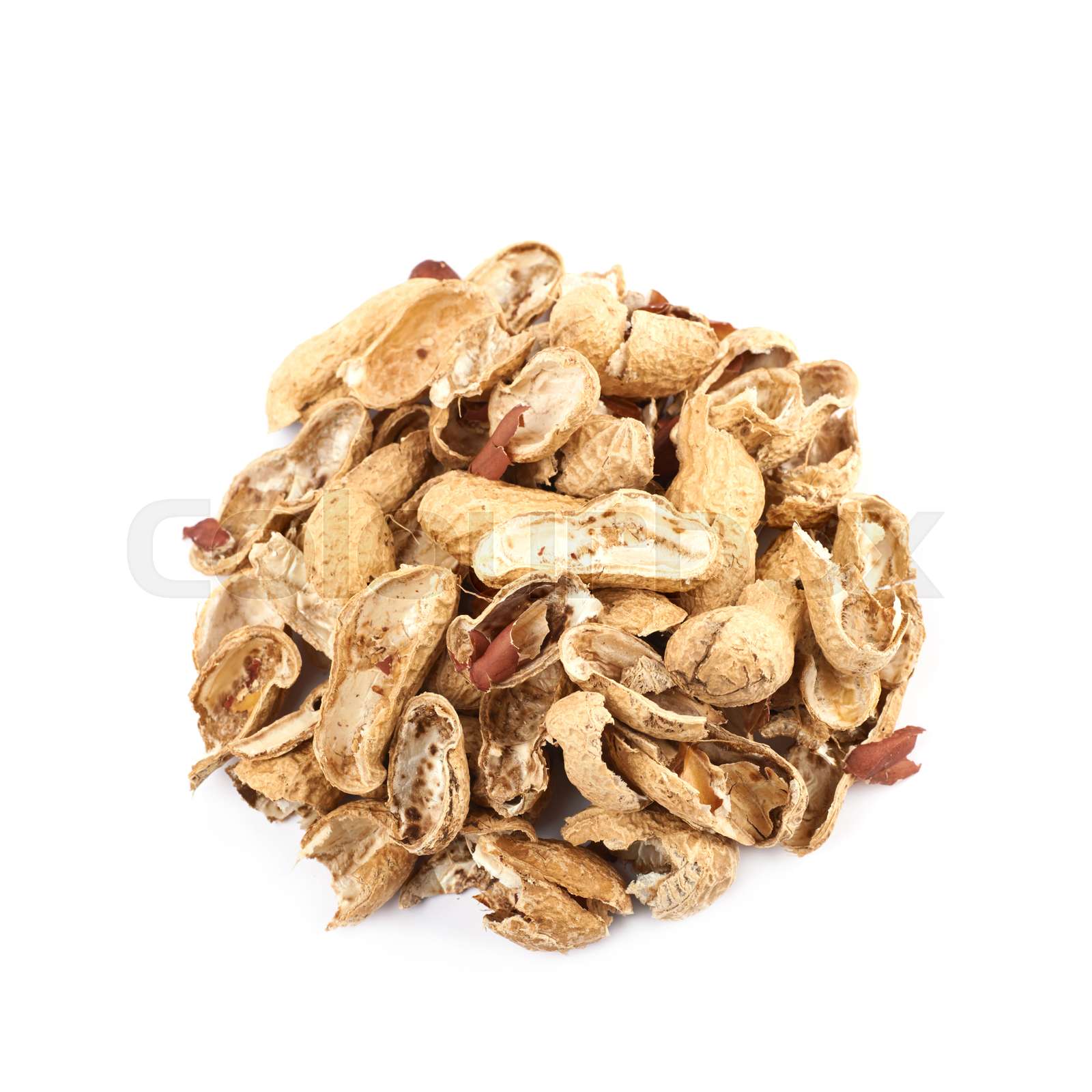 The Unexpected Craving: Do Chickens Really Eat Peanut Shells? - g1c3bgs