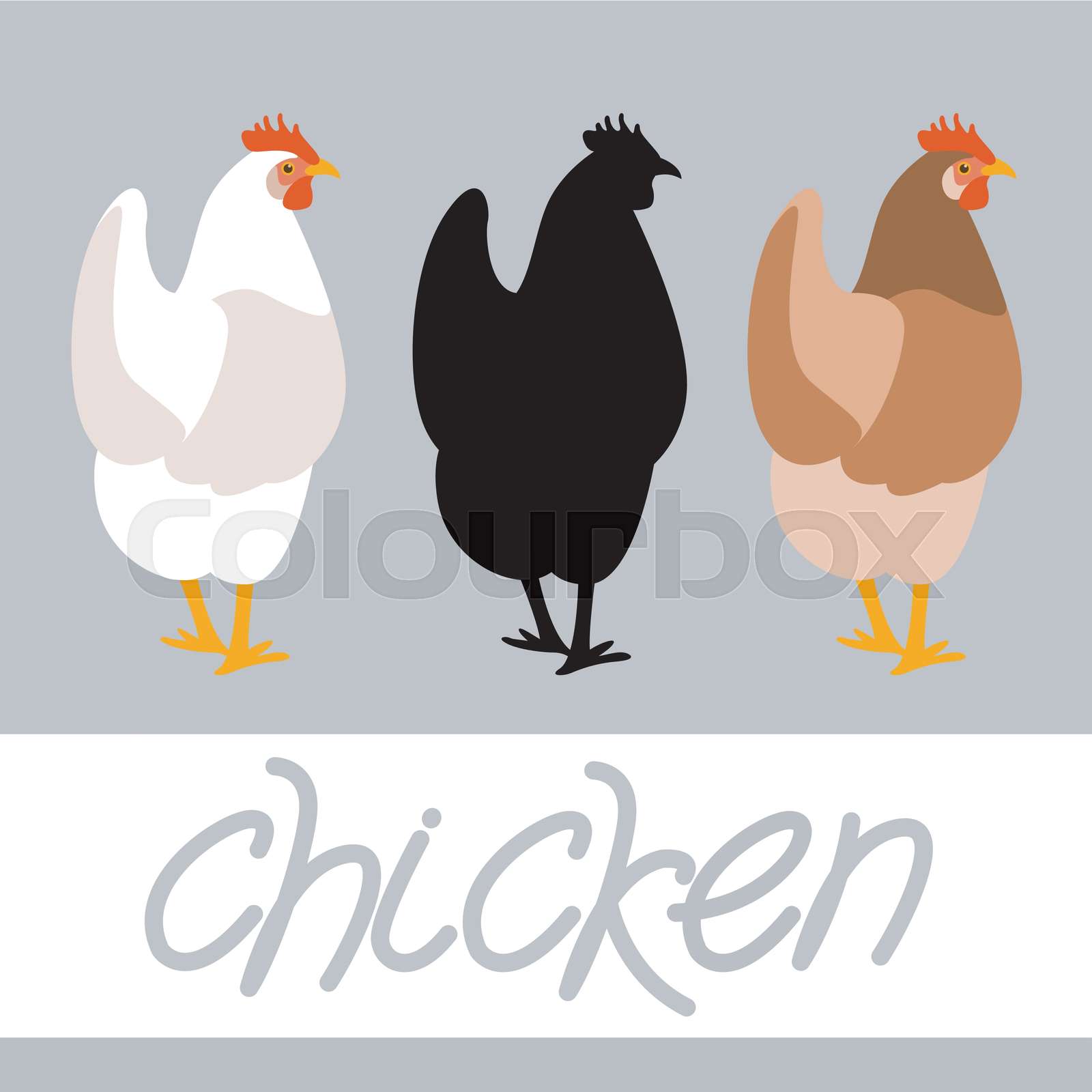 Chicken Vector Stock Vector Colourbox Chicken Vector Stock Vector Colourbox
