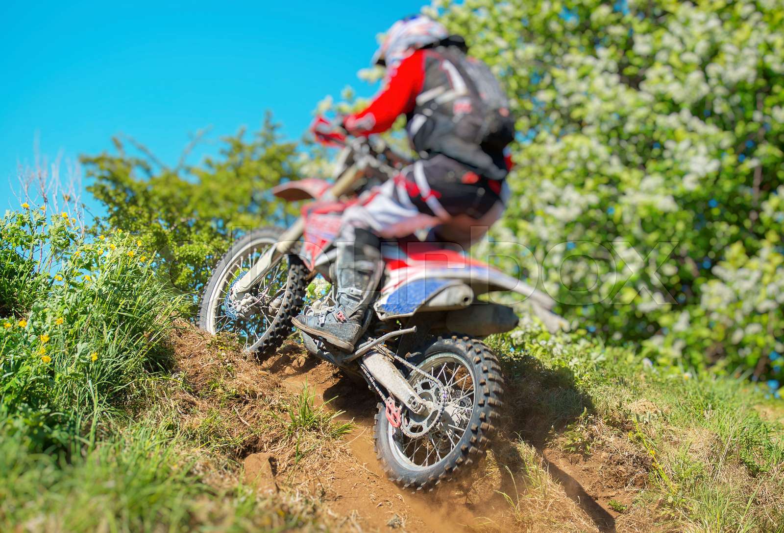 Professional motocross rider climbing on the hill. Stock image