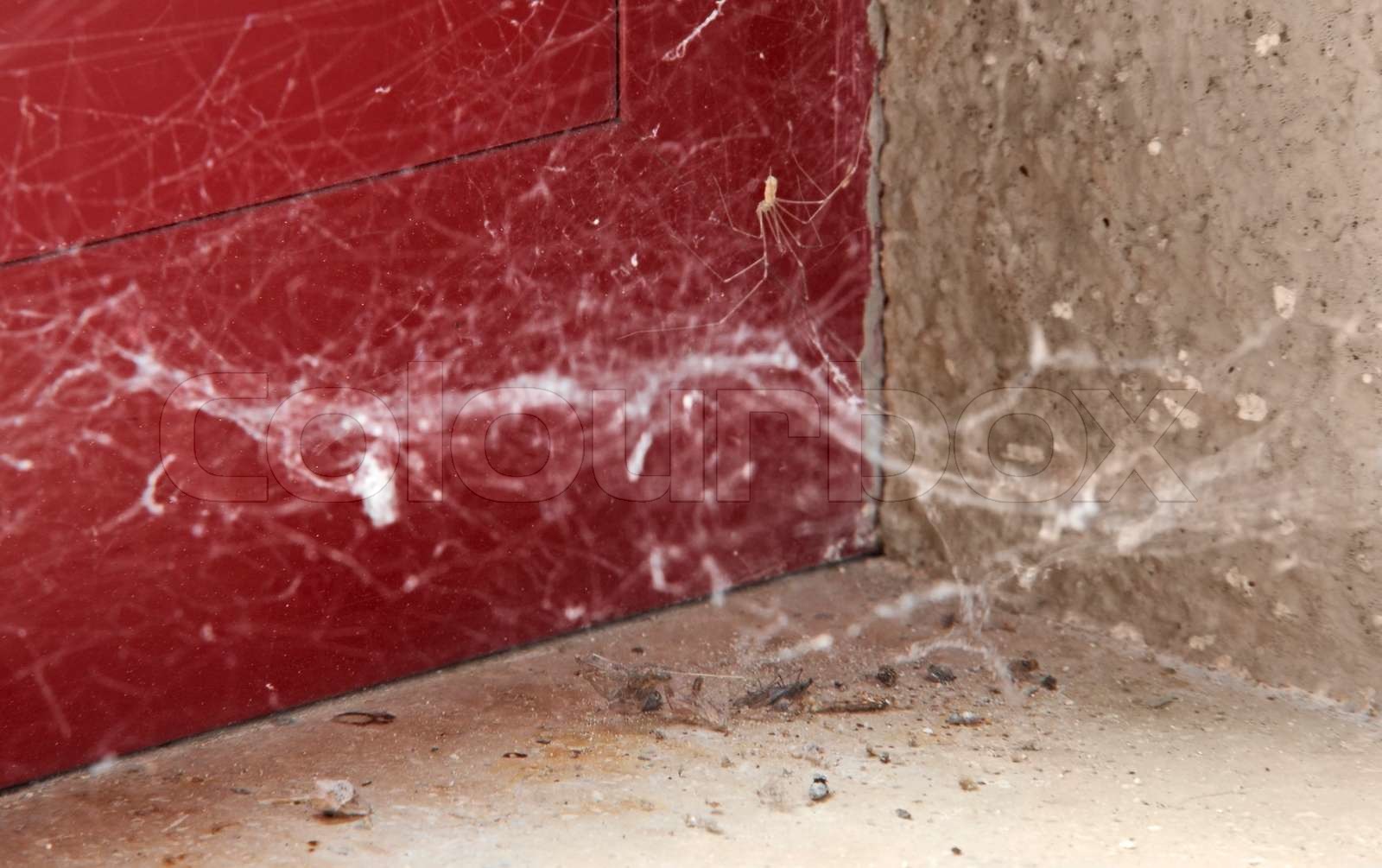 Dust s Definition at Christopher Gillingham blog