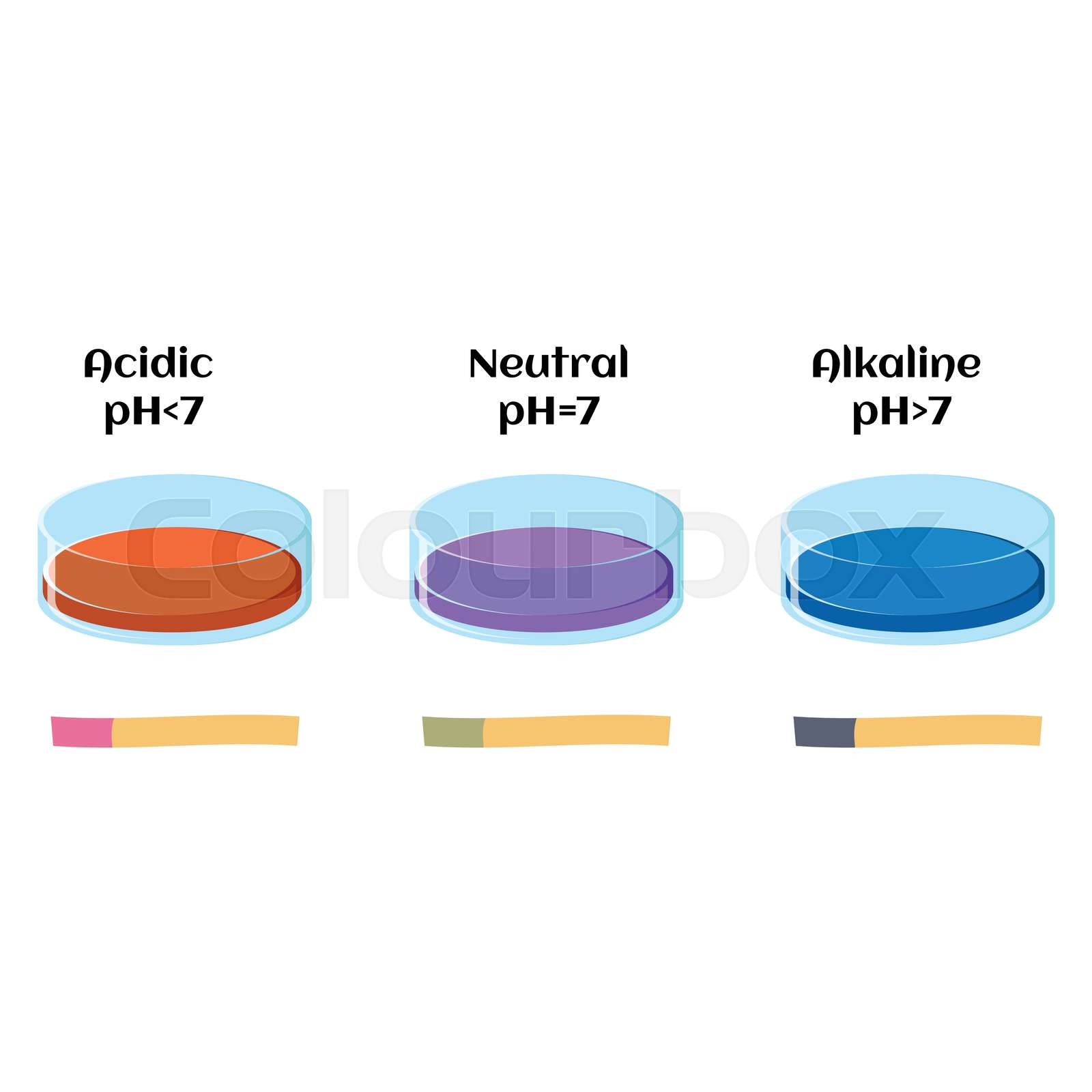 Litmus liquid and litmus paper test in solutions with acidic, alkaline