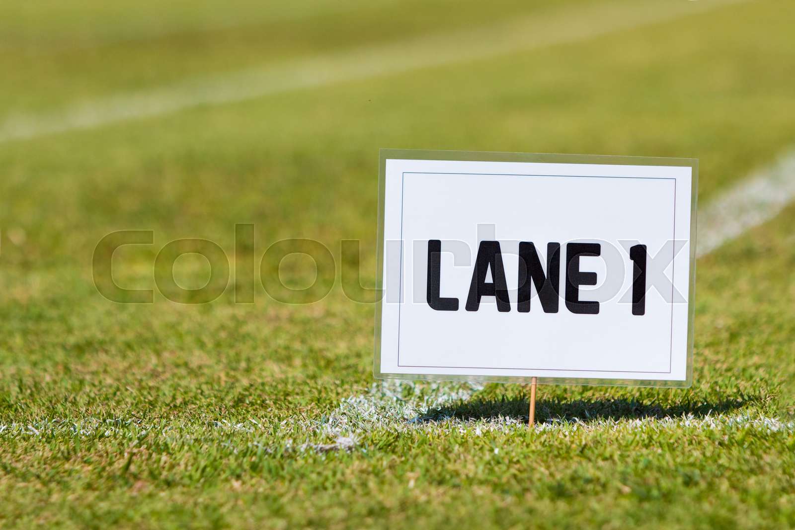 school track and field Lane 1 sign on grass Stock image Colourbox
