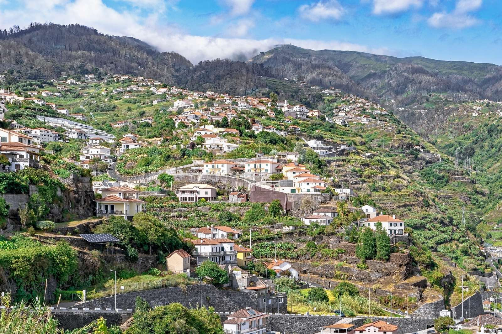 Calheta - Madeira | Stock image | Colourbox