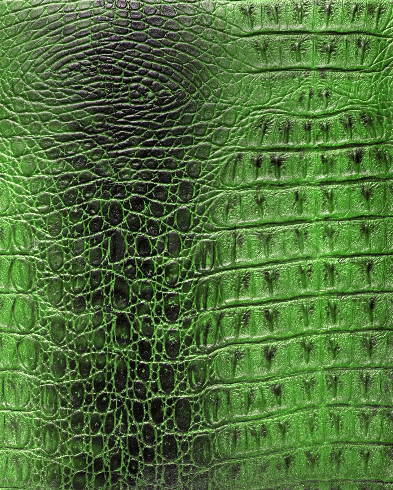 Is This Trending Beauty Treatment Safe? Reptile Skin Risk Exposed - mrlvmud