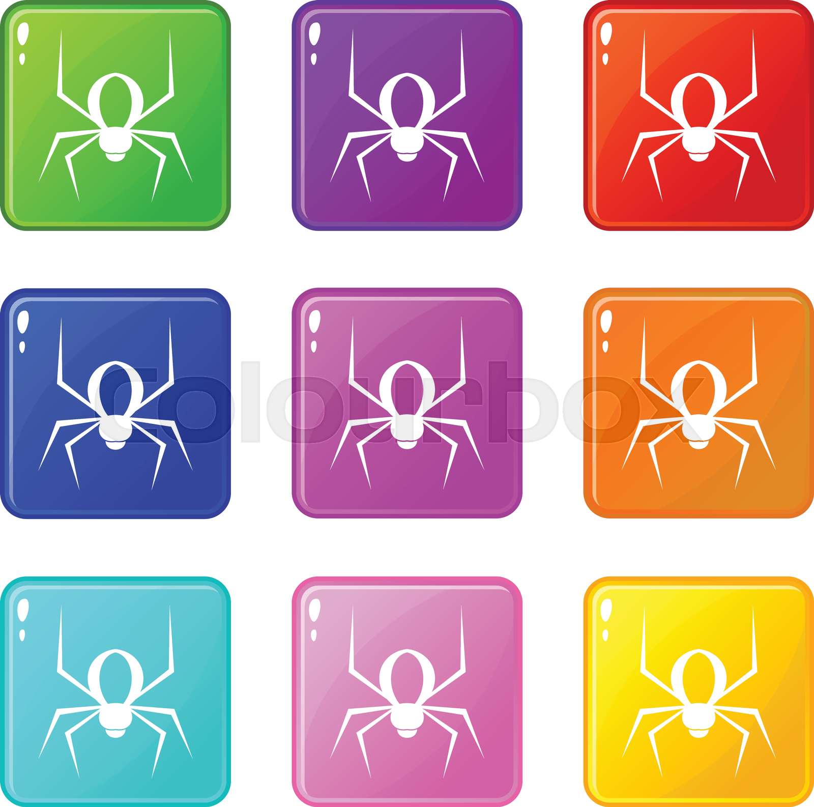 Spider icons 9 set | Stock vector | Colourbox