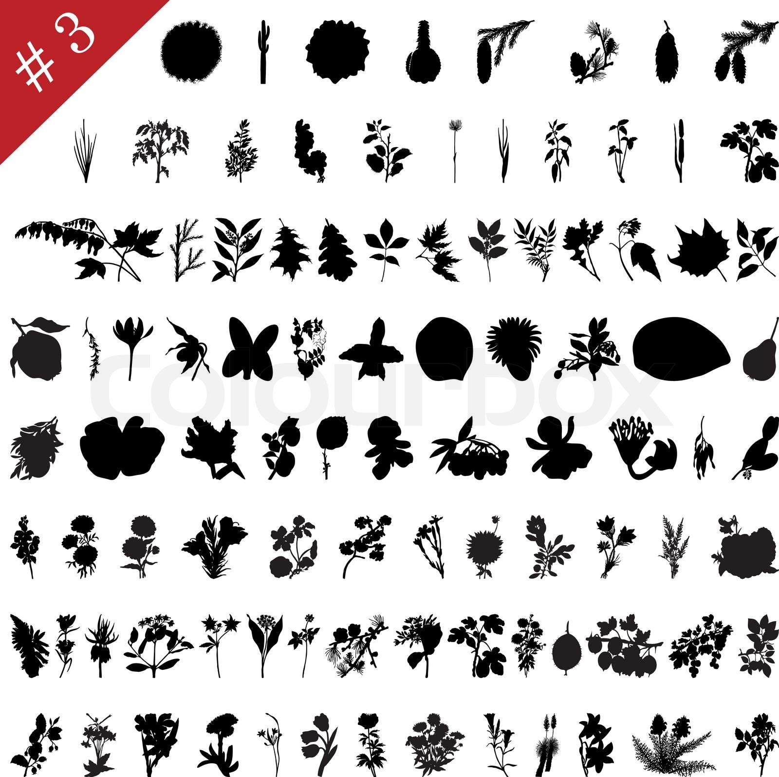 Vector Collection Of Different Plants And Flowers Silhouettes 3 Stock Vector Colourbox
