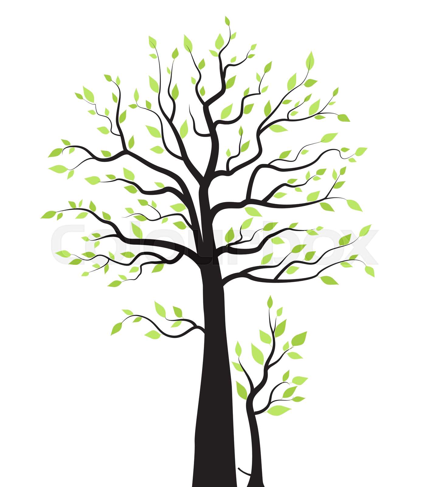 baum, umriss, freigestellt | Stock-Vektor | Colourbox