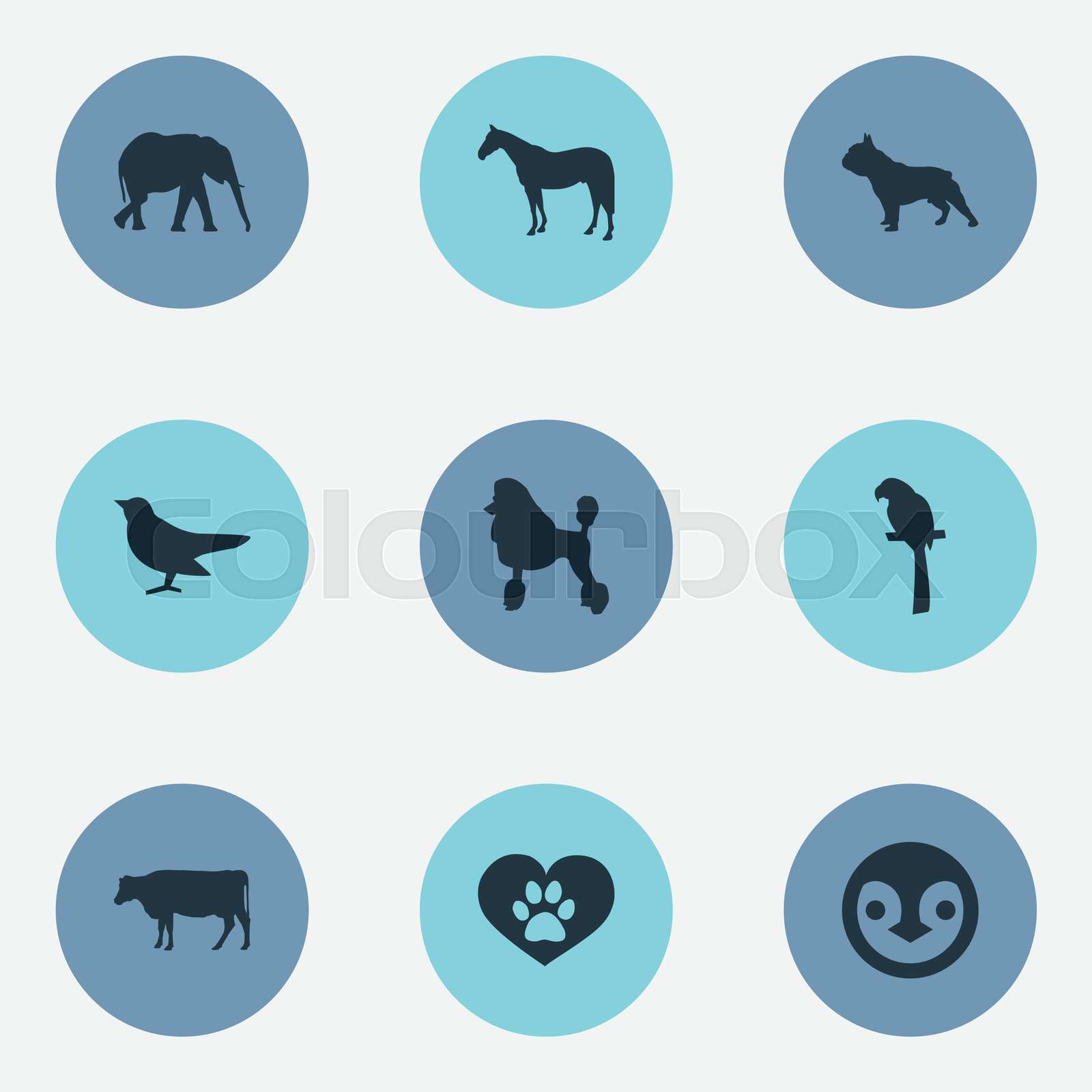 vector-illustration-set-of-simple-animals-icons-elements-stallion