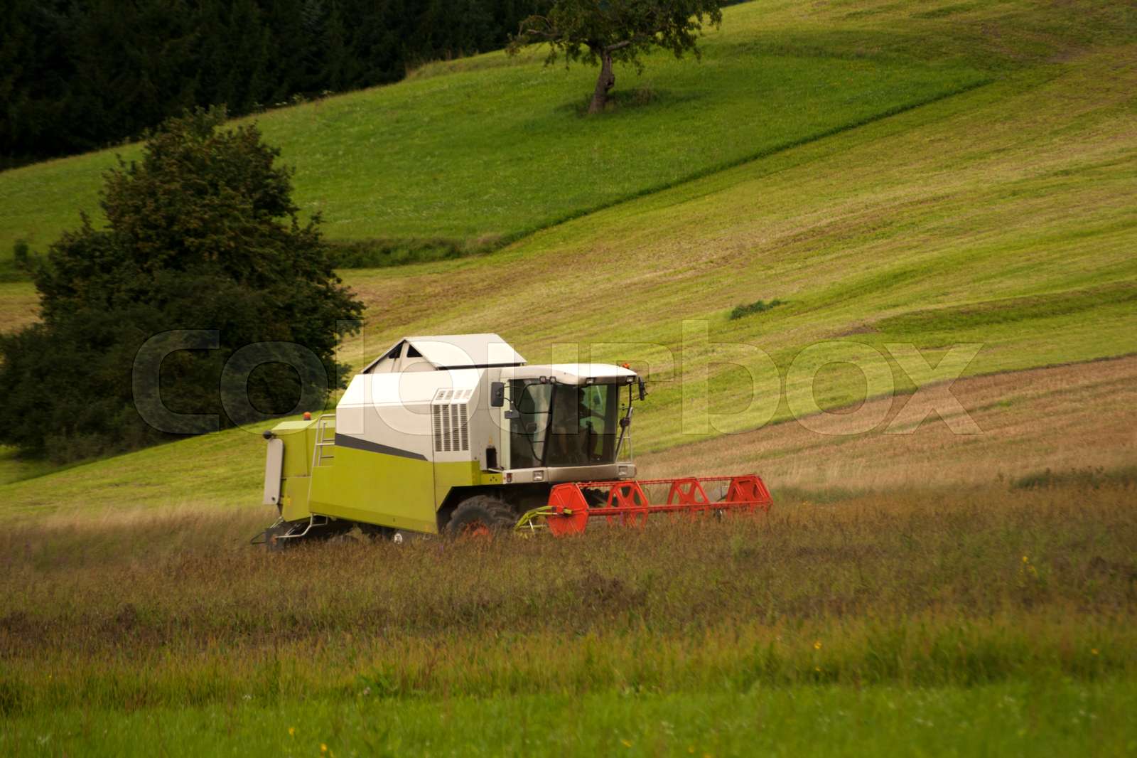 Traktor auf dem Feld | Stock Bild | Colourbox