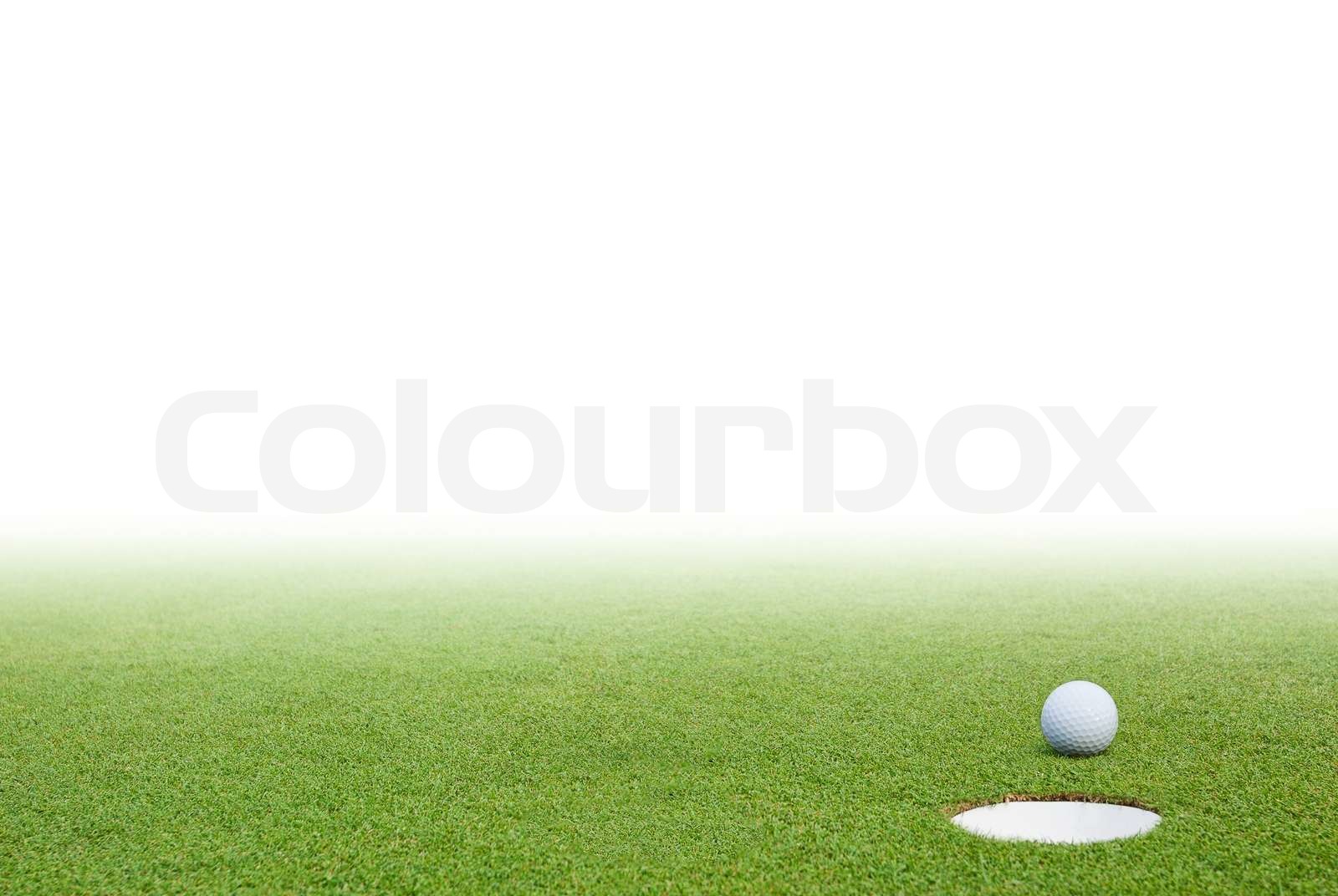 Golf ball on green grass and white background | Stock image | Colourbox