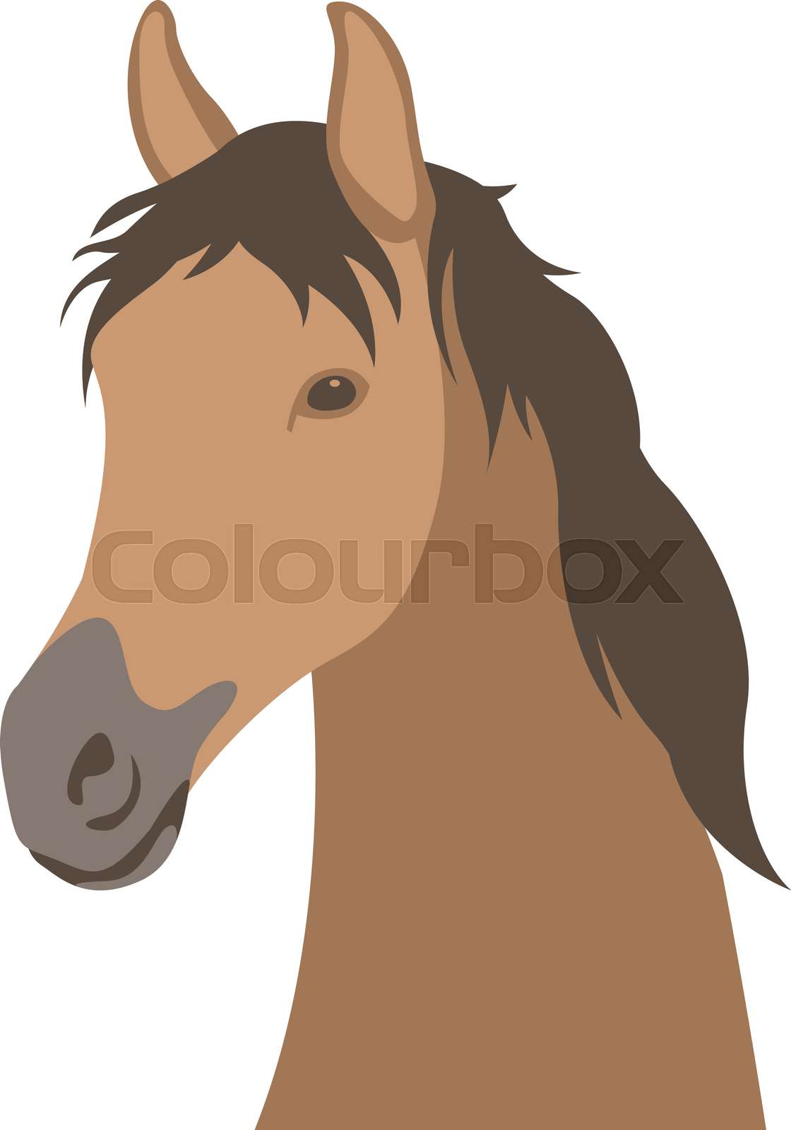 horse head | Stock vector | Colourbox