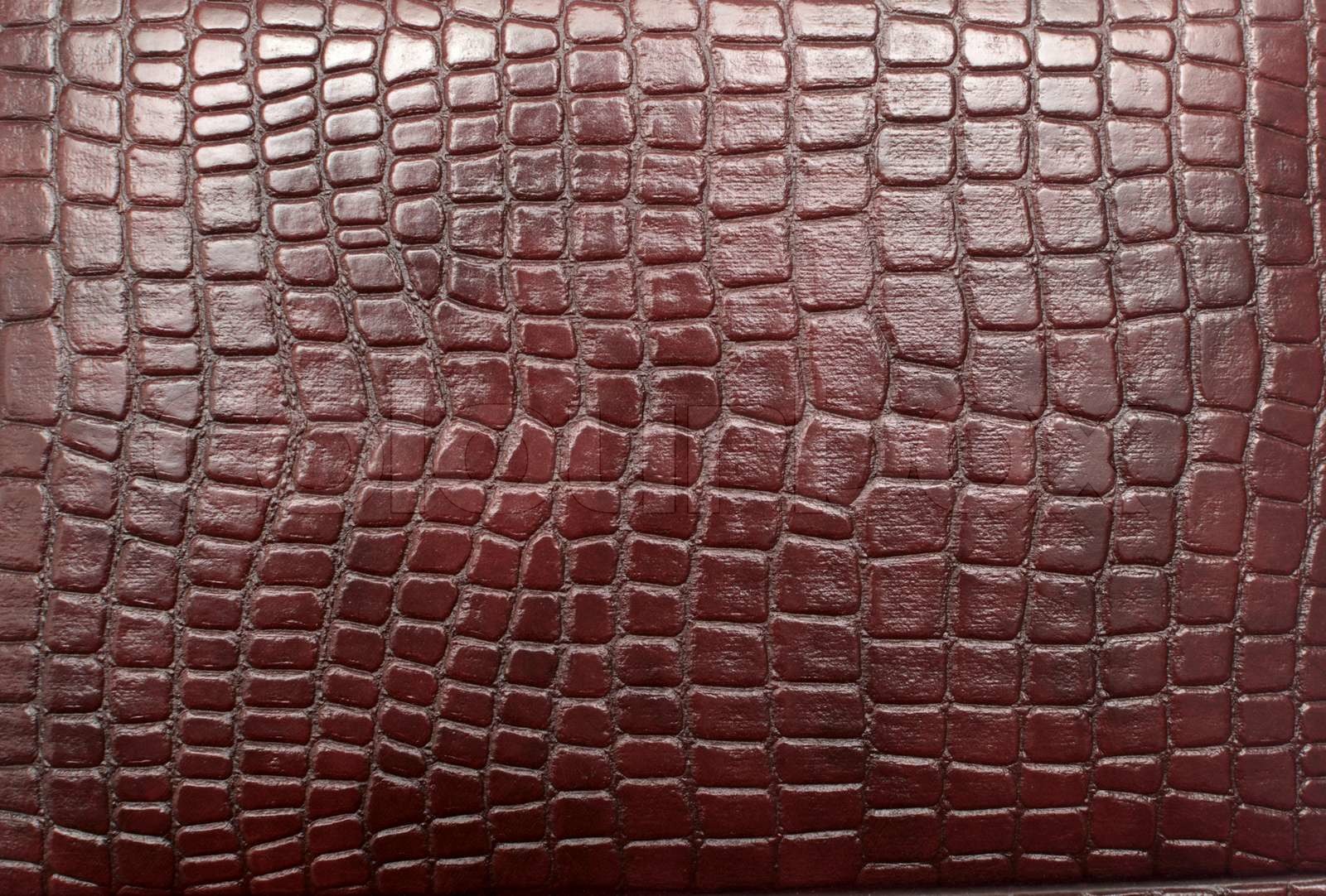 reptile leather