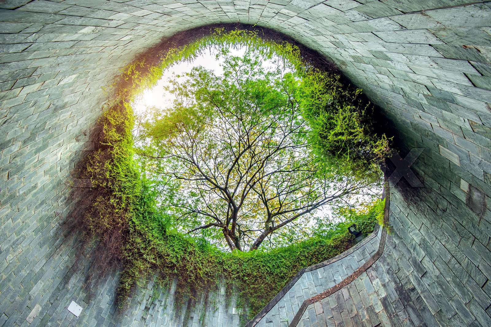 Fort Canning Park Singapore