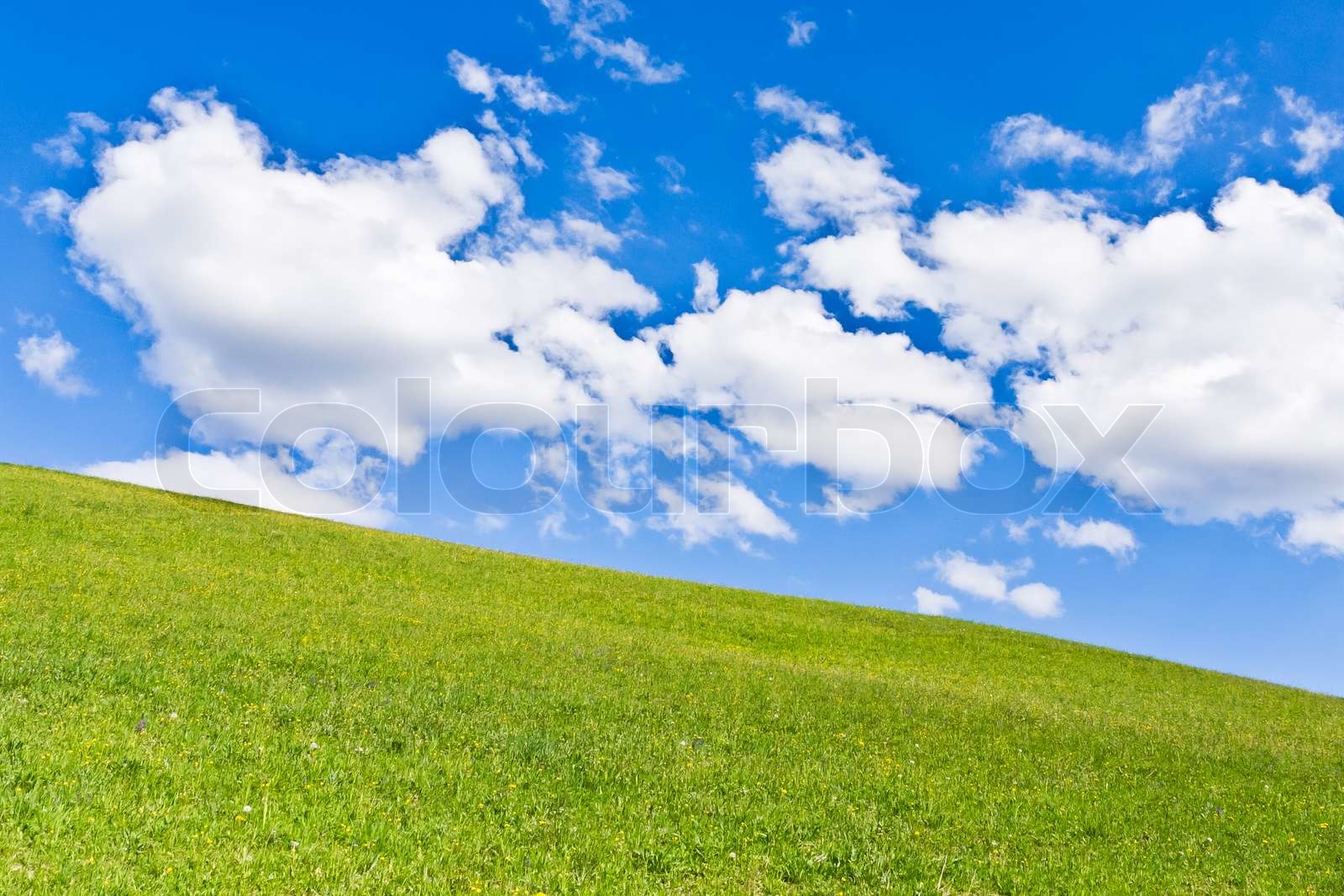 grünen Wiese mit weißen cloudscape Stock Bild Colourbox
