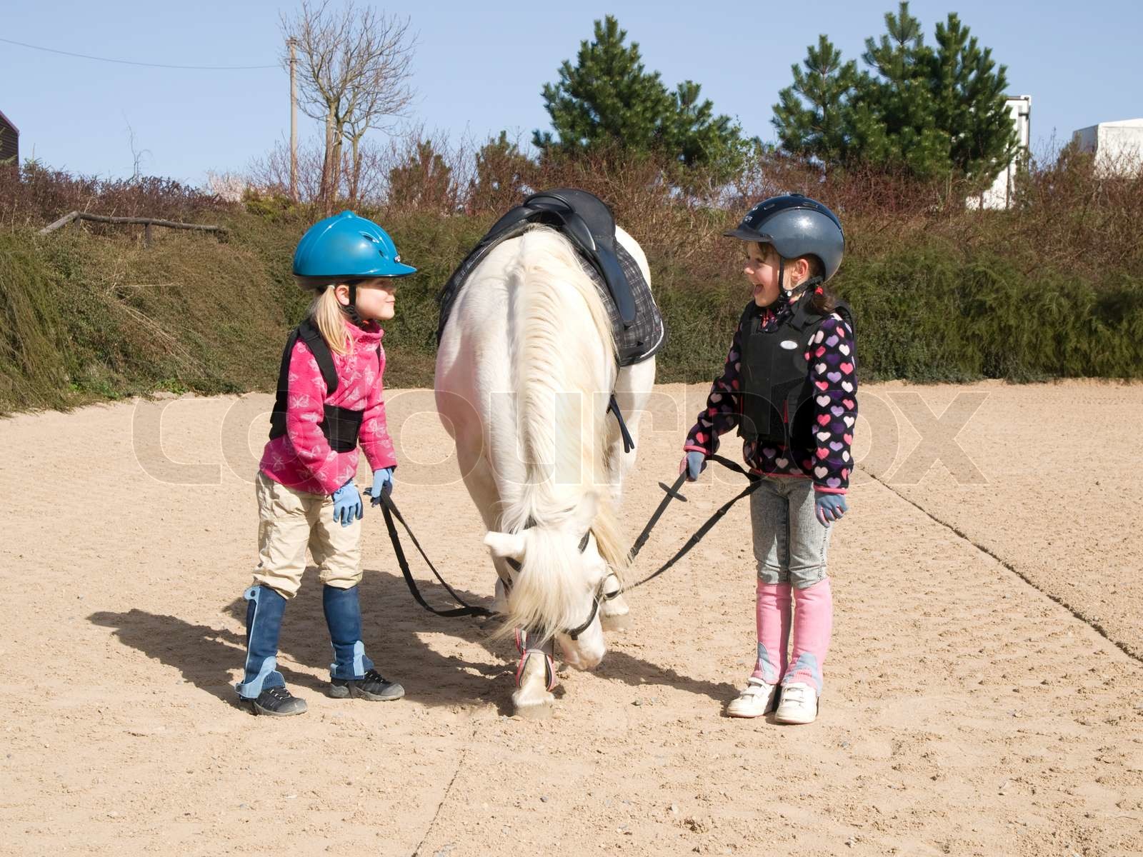 Vor Dem Training Des Reitens Stock Bild Colourbox