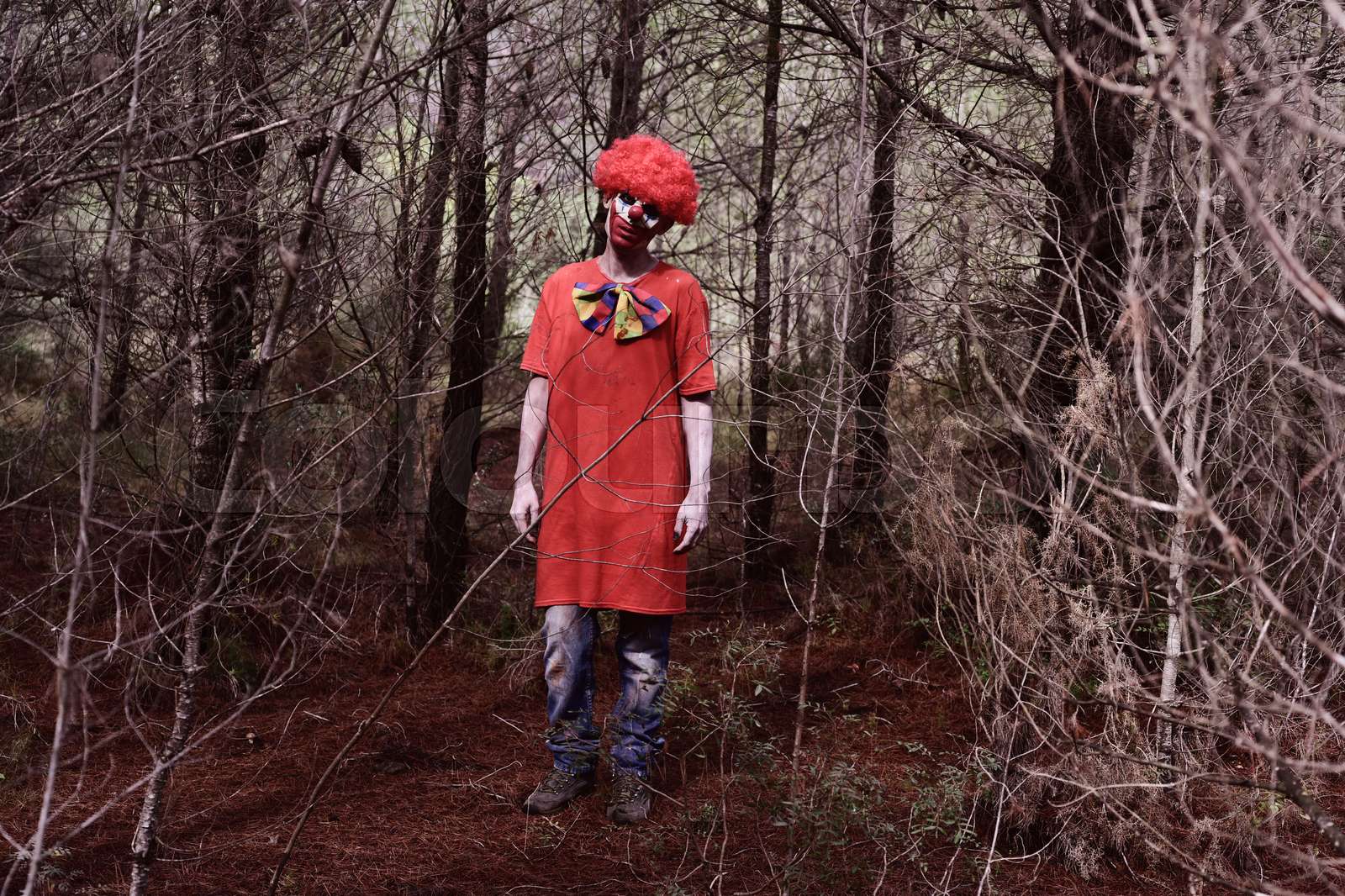 scary evil clown in the woods | Stock image | Colourbox