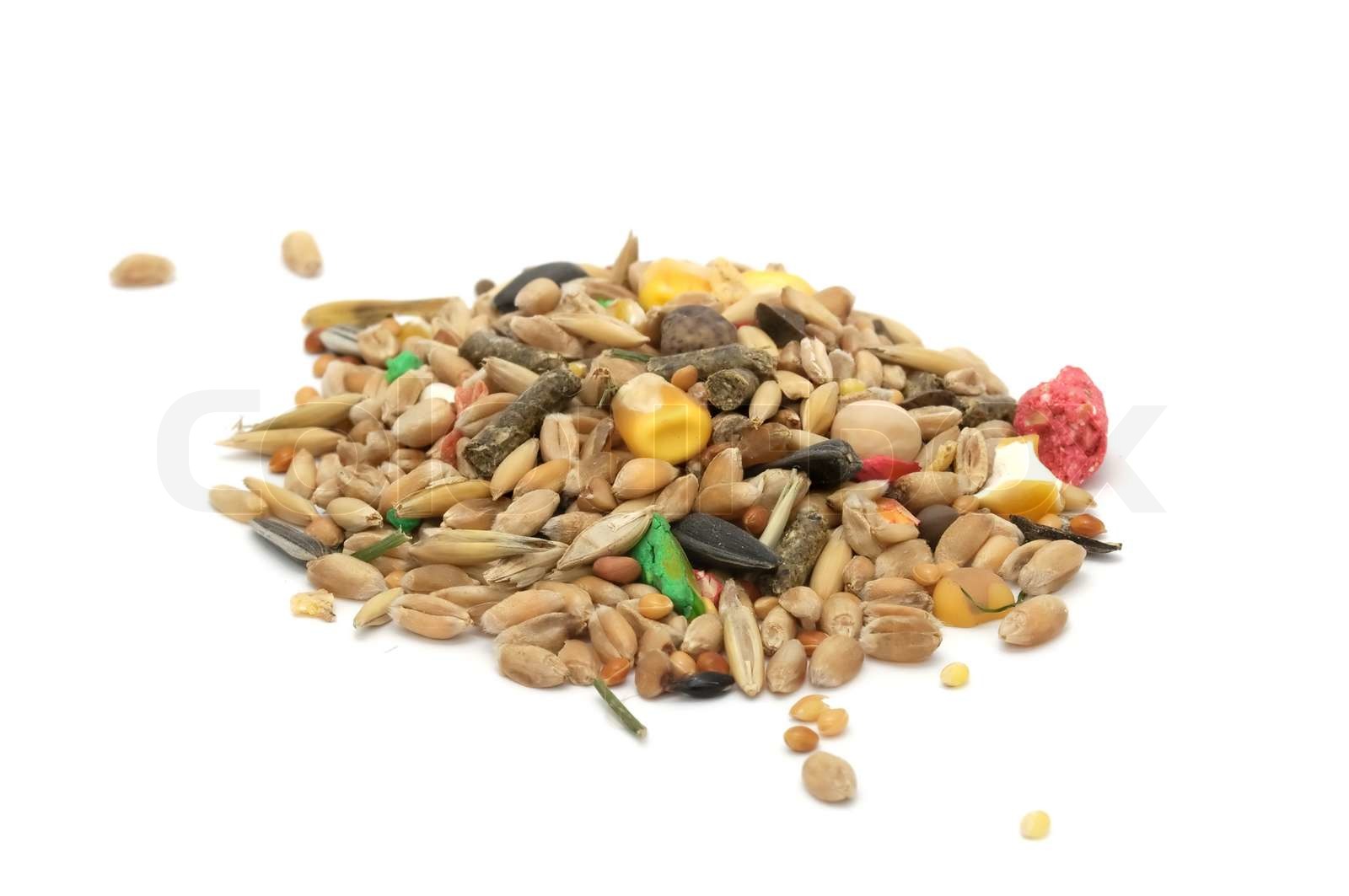 Hamster Food Mix Stock Bild Colourbox