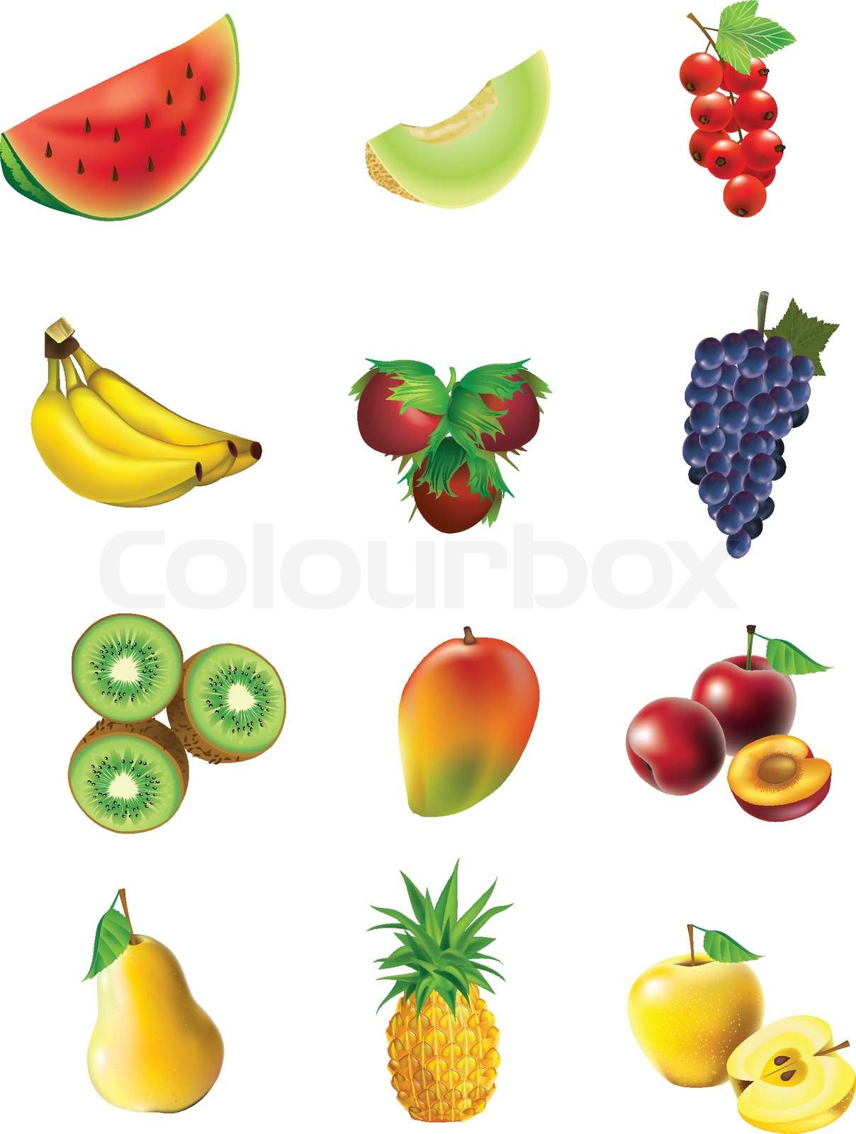 Obst und Gemüse, der isoliert, detaillierte Vektor Illustrationen und