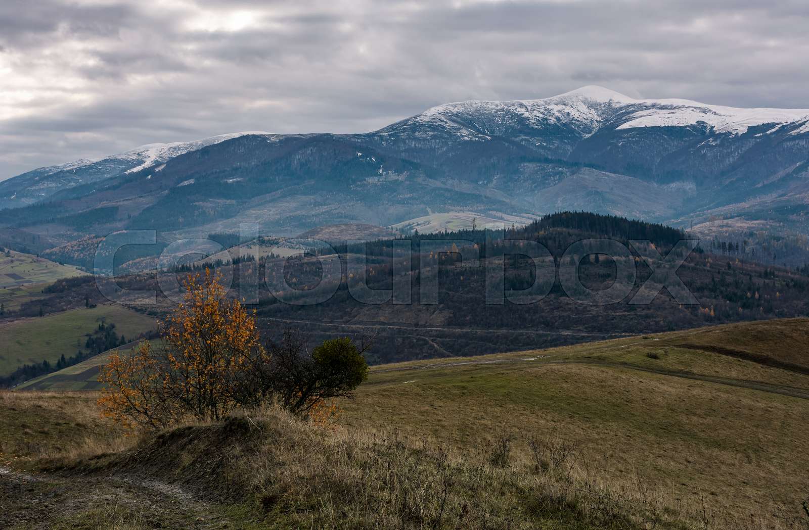 rolling hill with mountain ridge in late autumn Stock image Colourbox