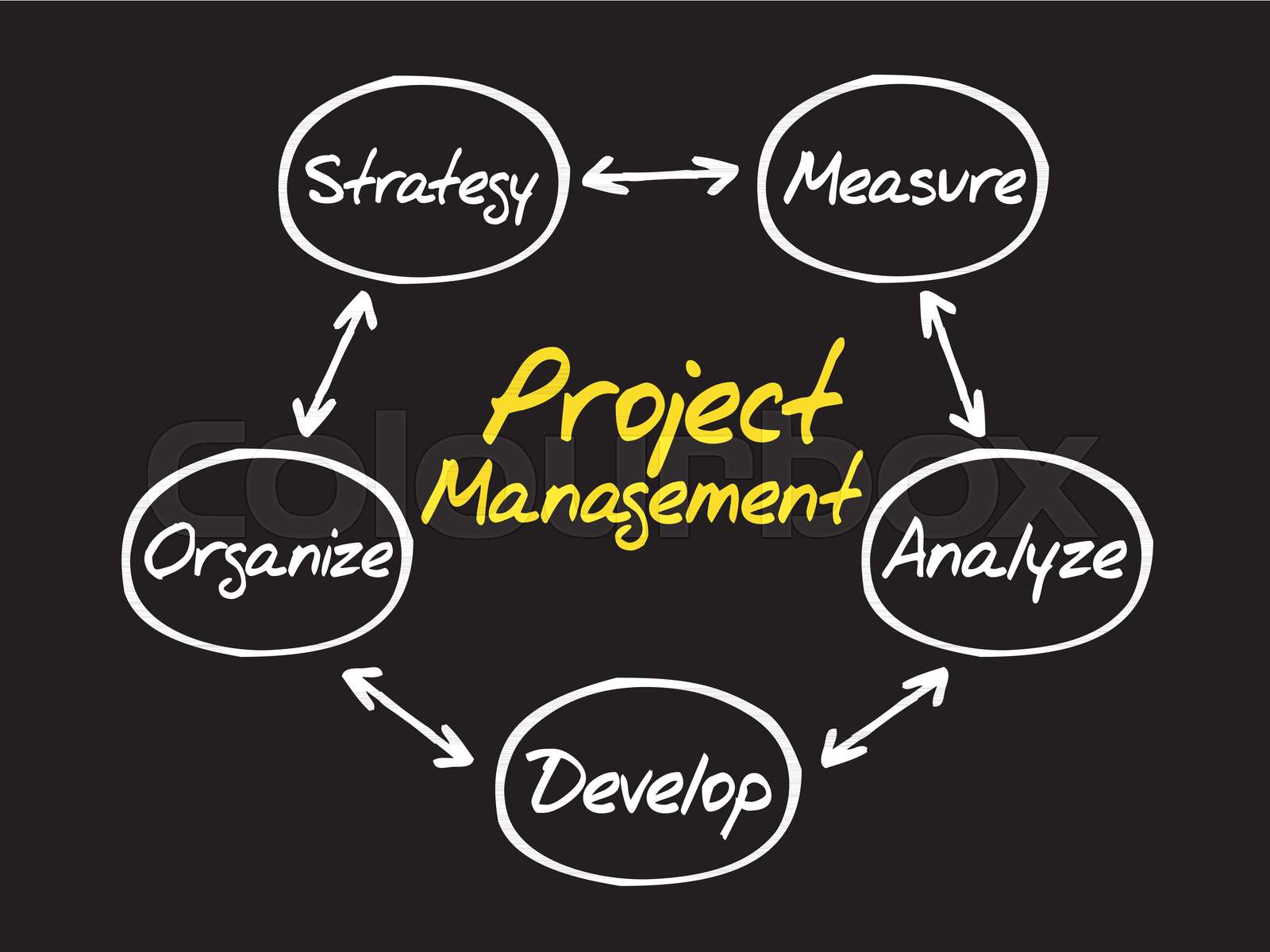 Project Management process diagram | Stock vector | Colourbox