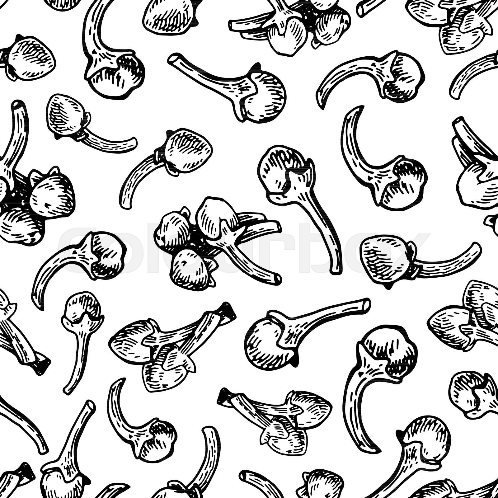 Clove seamless pattern. Vector drawing. Hand drawn sketch. Seasonal ...