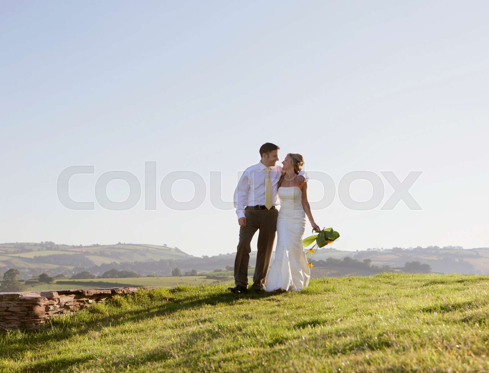 Newly weds on wedding day | Stock image | Colourbox